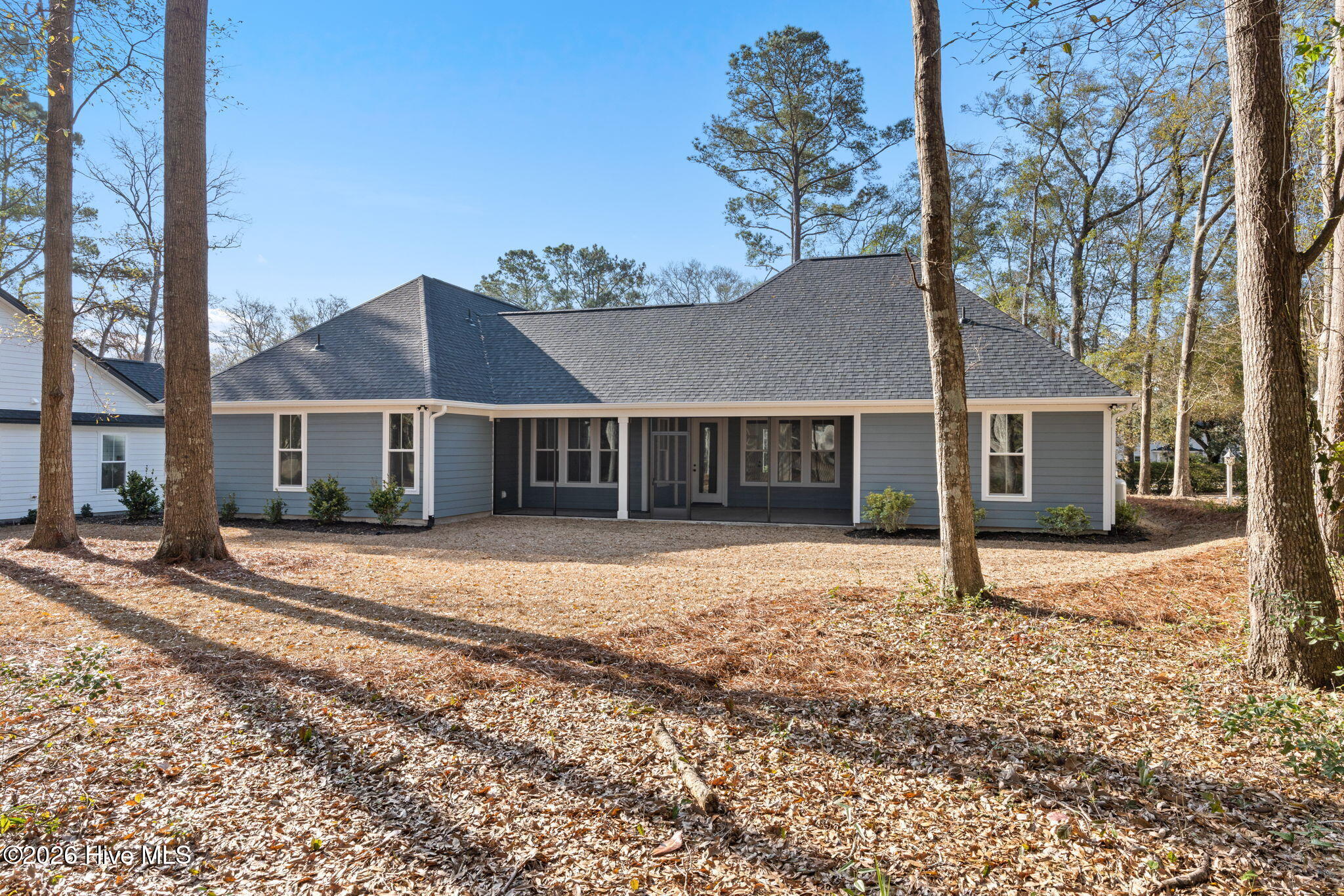 100558112 | Photo 53