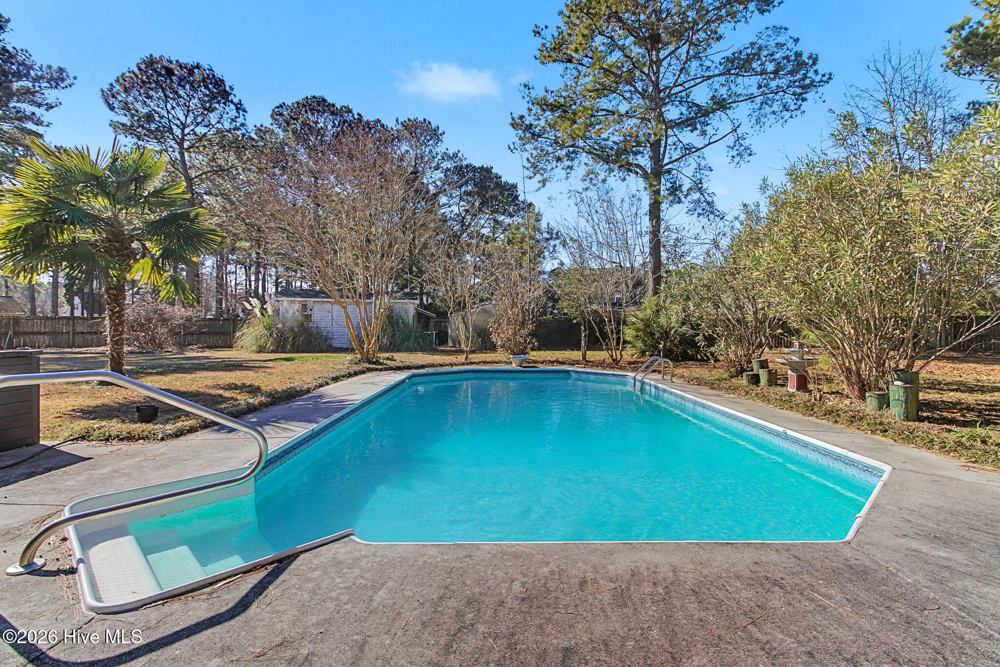 100547779 | Photo 44