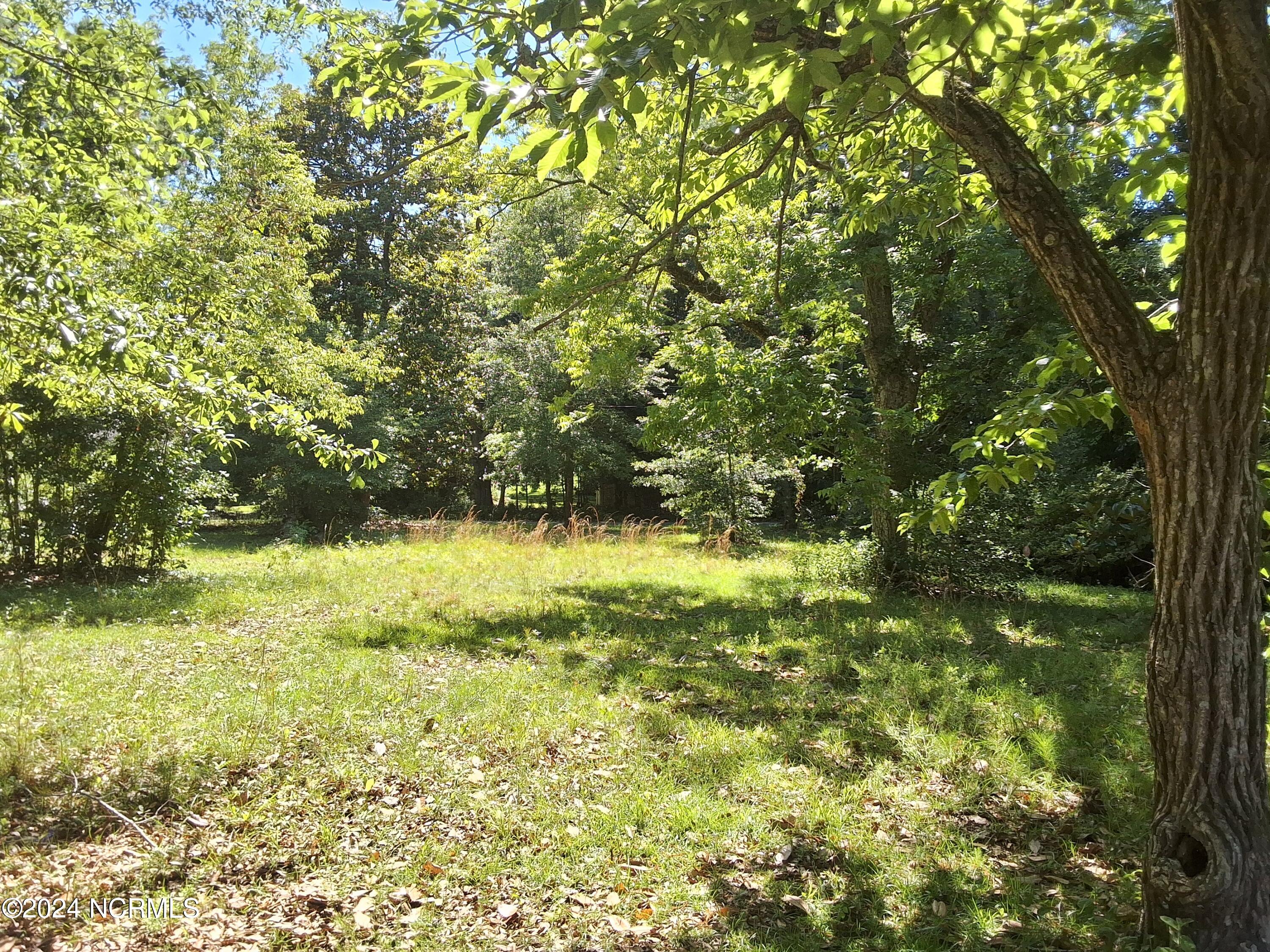 201 E Bell Street, Tabor City, NC, 28463