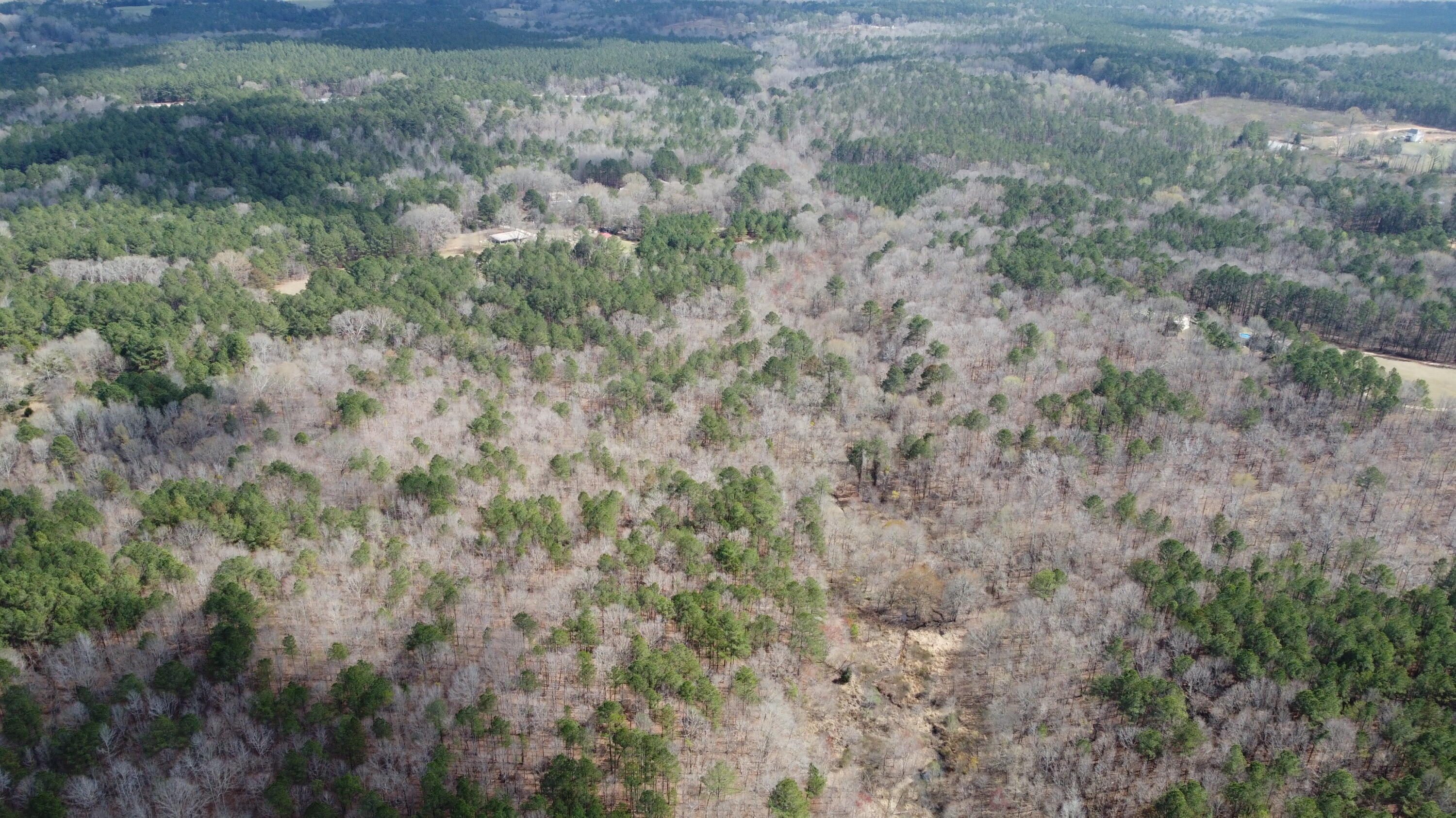 1238 Neuse Drive, Oriental, NC, 28571