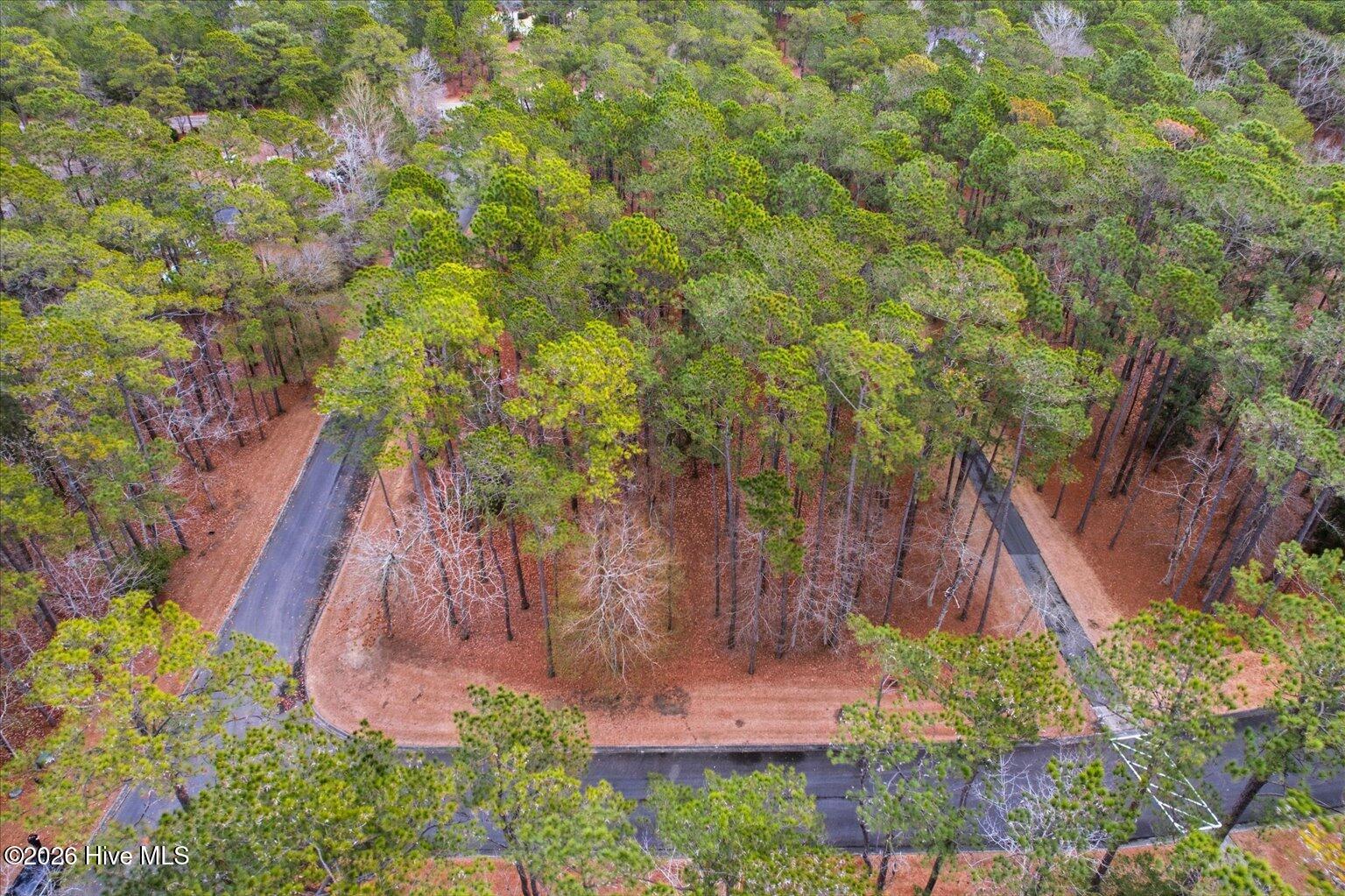 100555112 | Photo 22