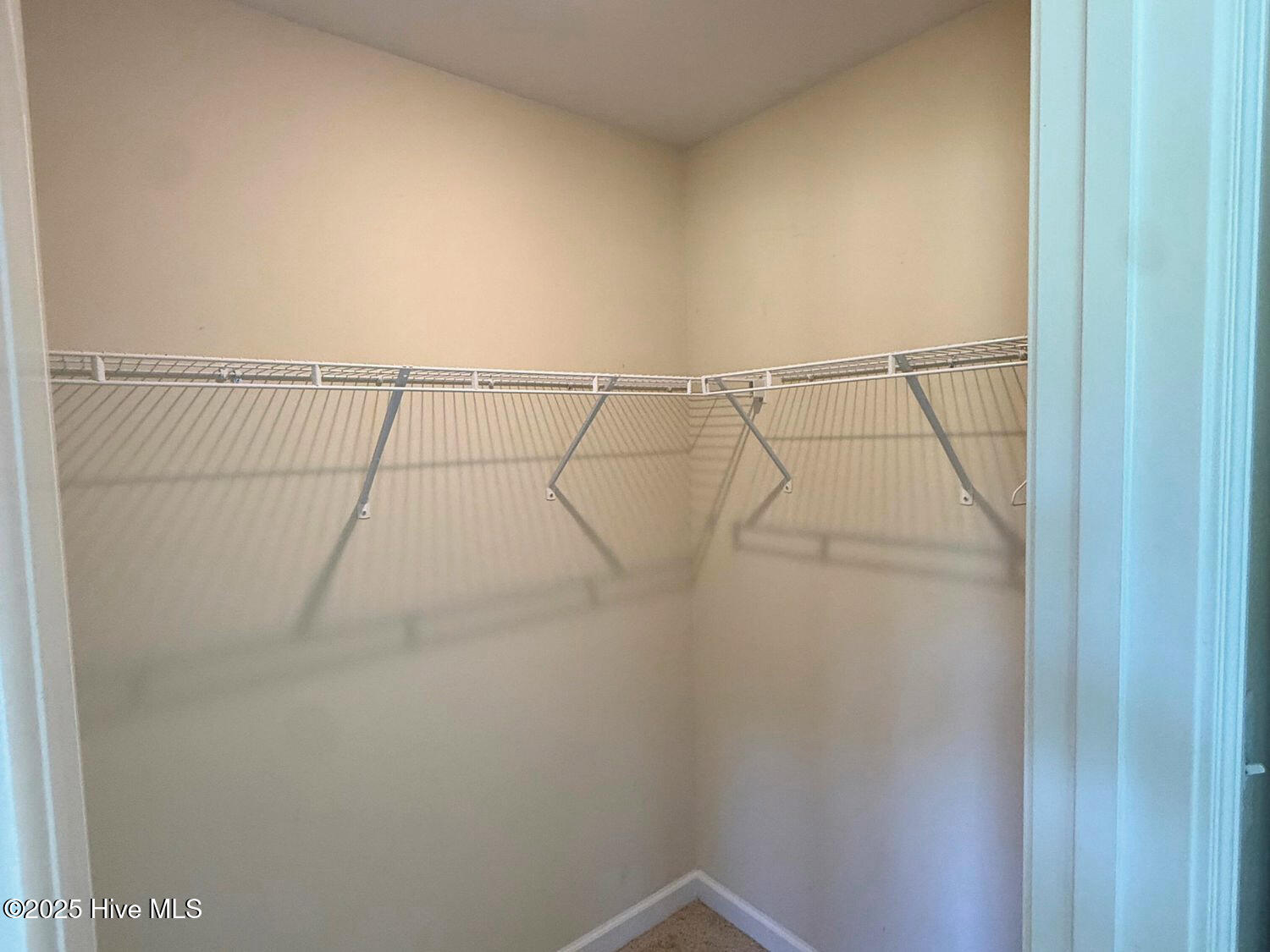 100542063 | Photo 20