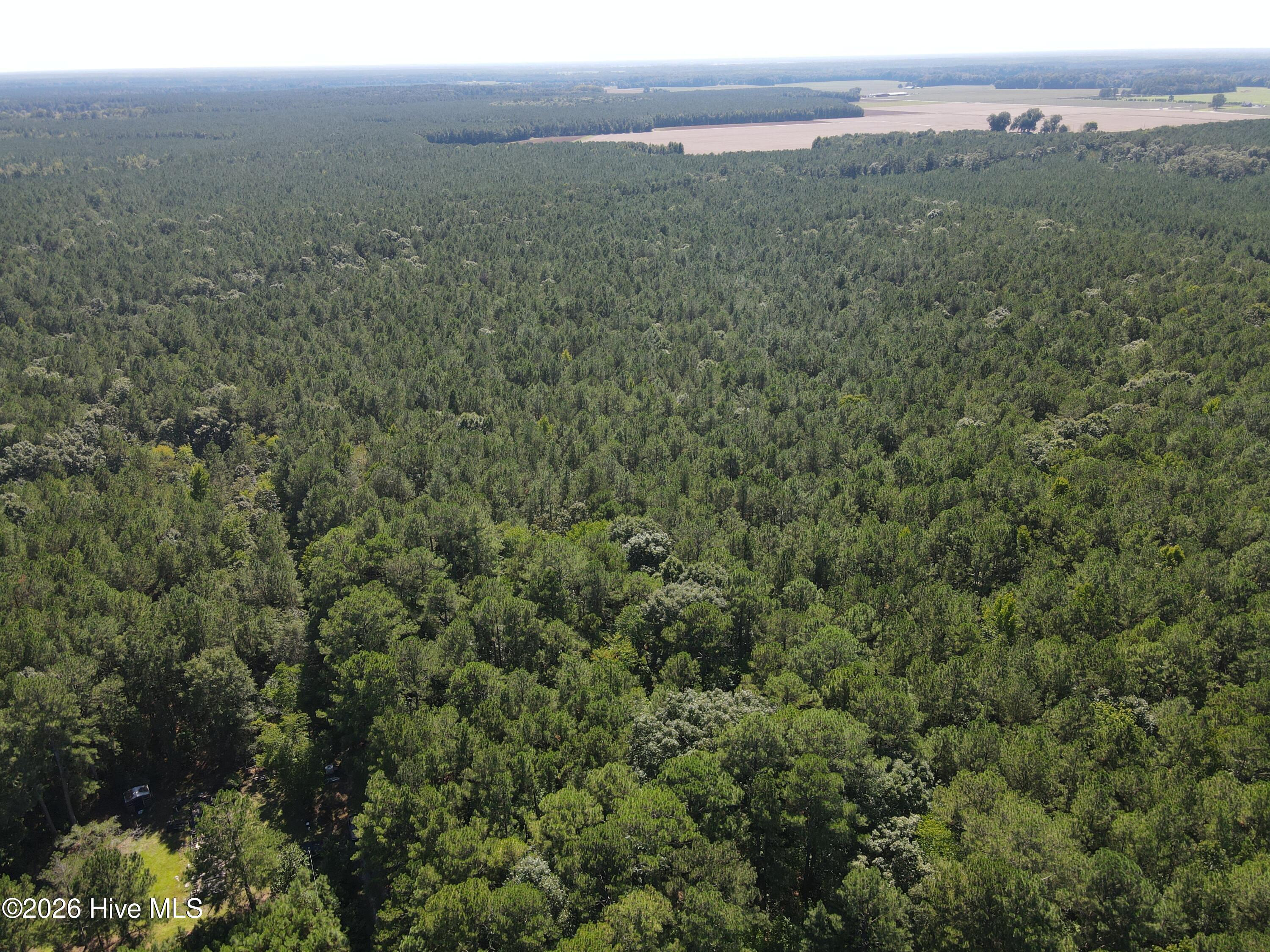 Photo 3 of Land for sale at Tbd Nc 305, Jackson, NC 27845 | MLS# 100608975 | Listing updated on 2026-10-08