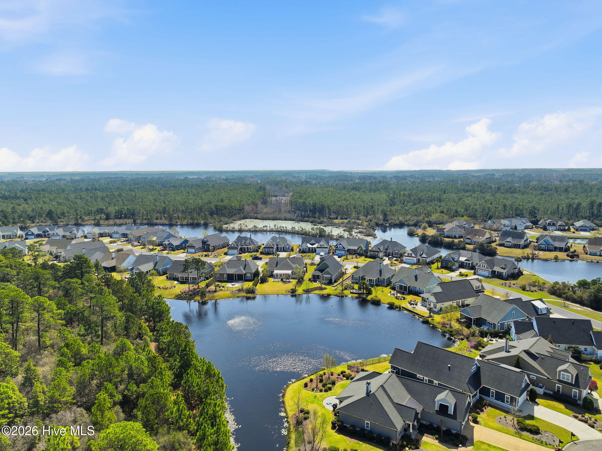 100563234 | Photo 48