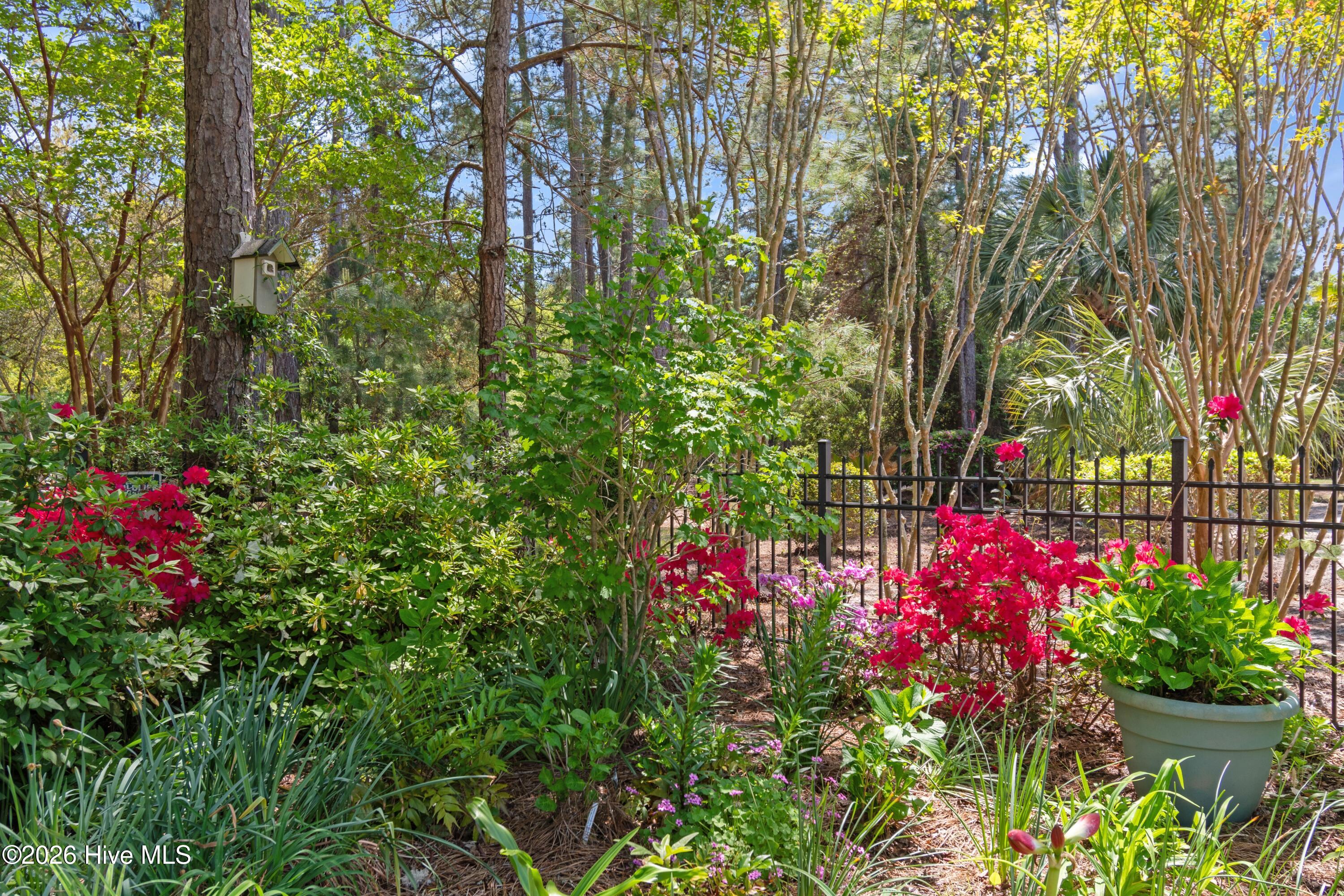 100567309 | Photo 65