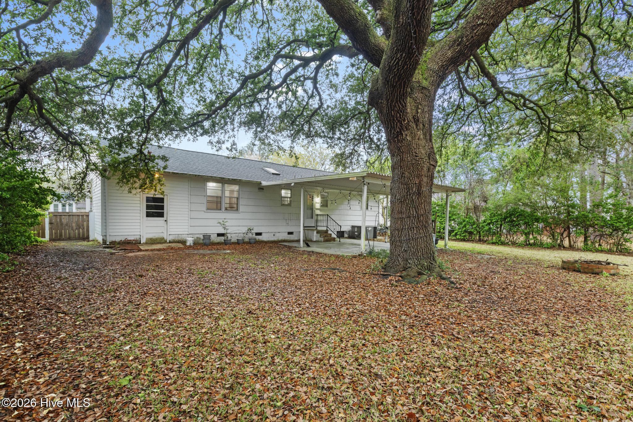 100560797 | Photo 22