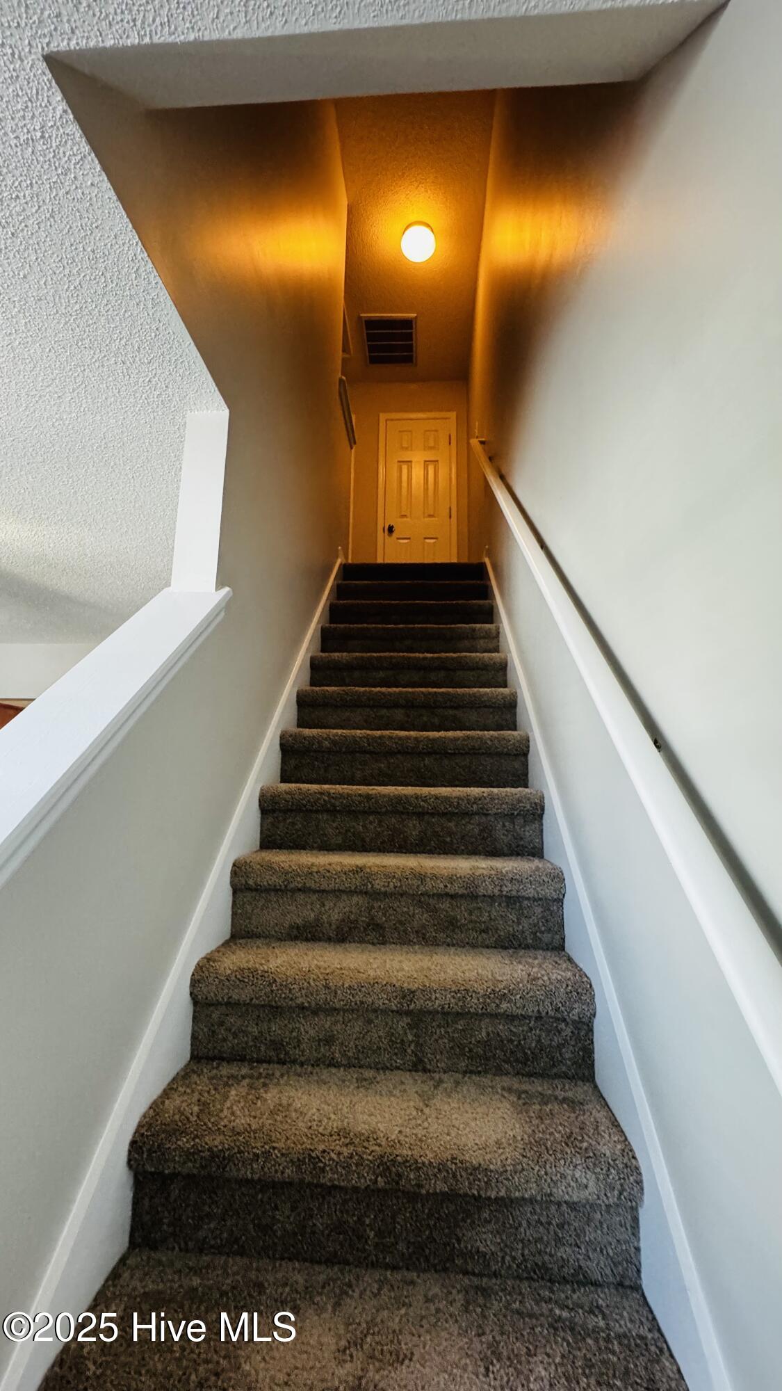 100544681 | Photo 11