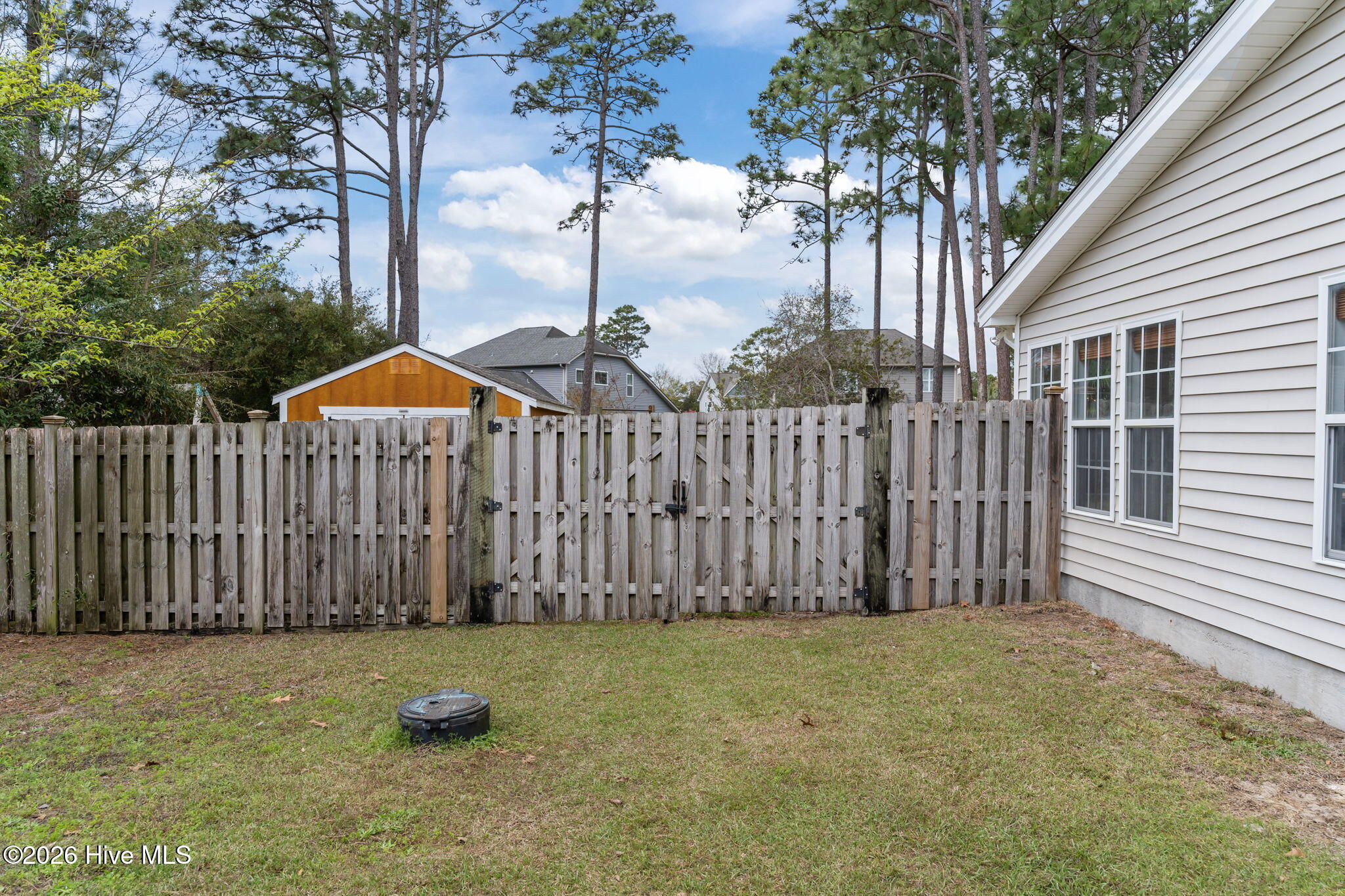 100563070 | Photo 46