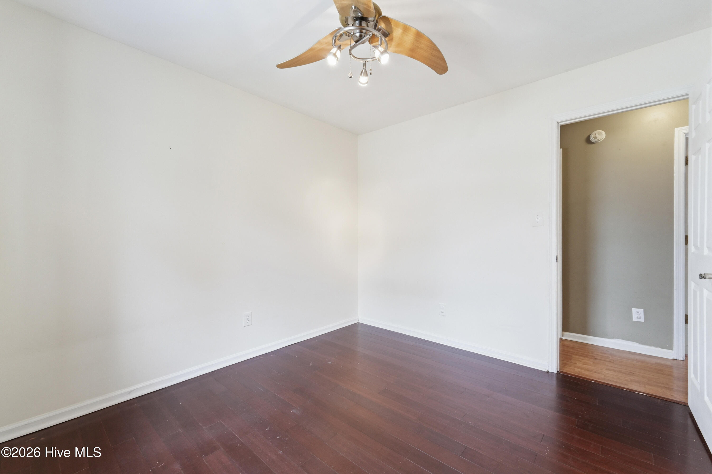 100559067 | Photo 41