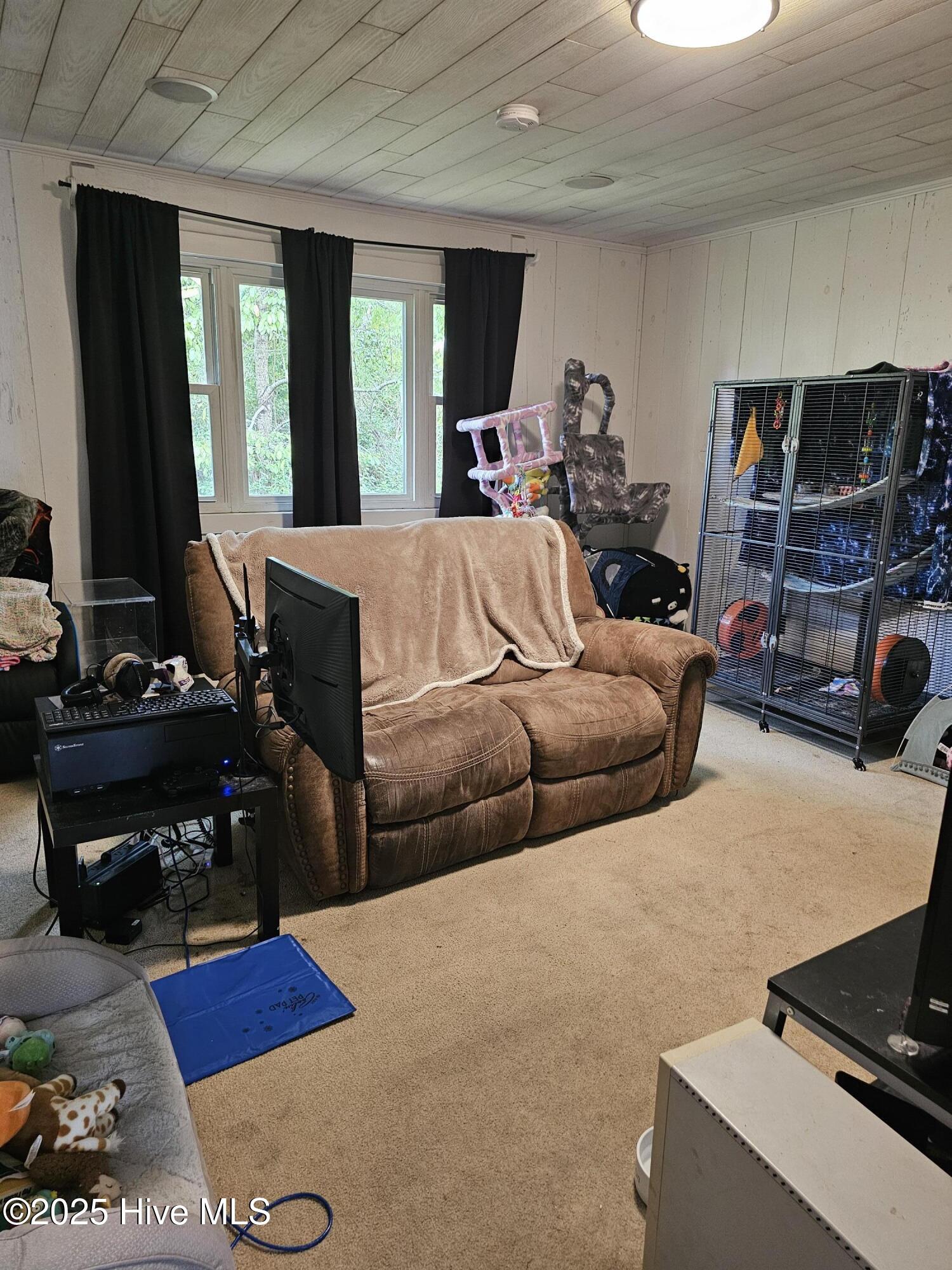 100531382 | Photo 15