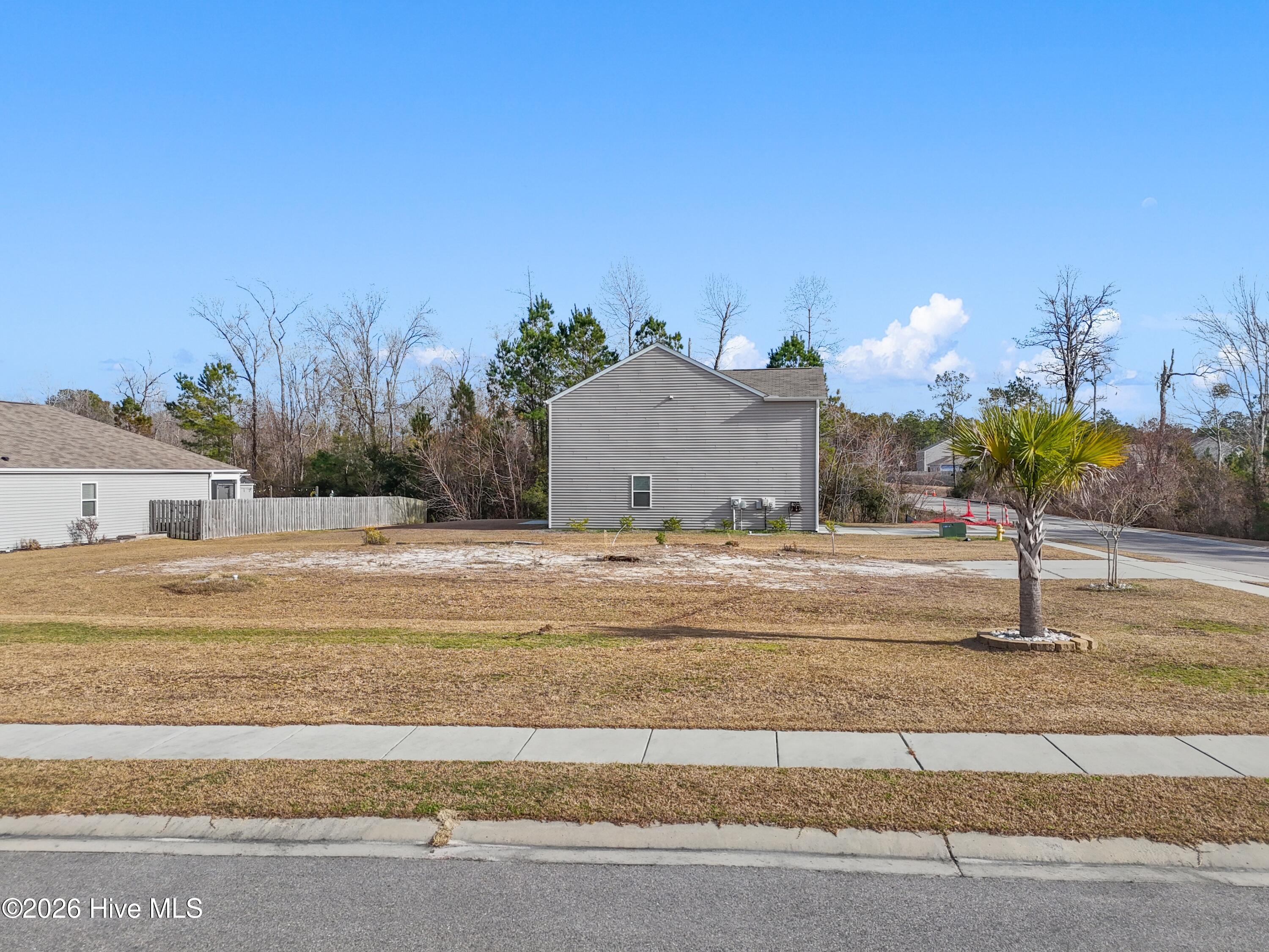 100551003 | Photo 11