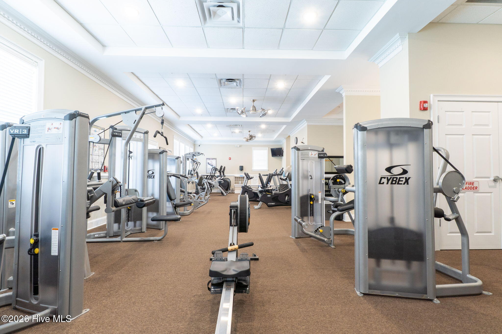 100561397 | Photo 94