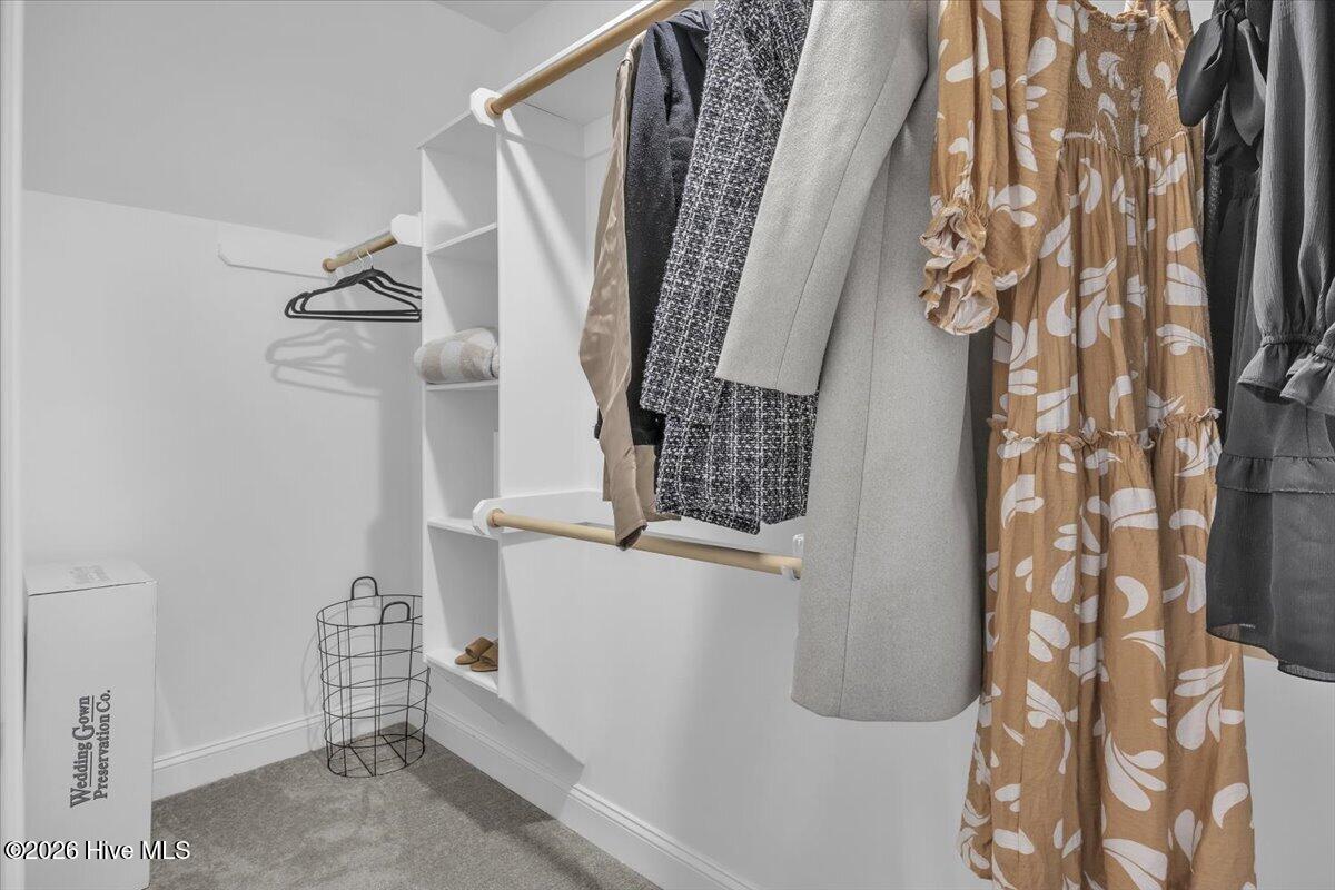 100553155 | Photo 30