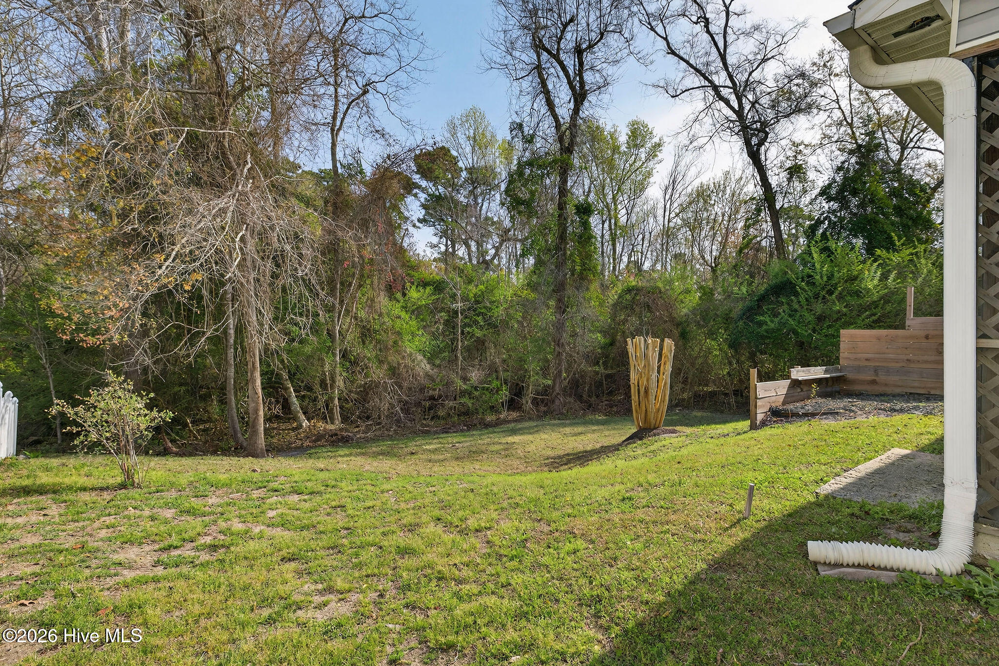 100562659 | Photo 29