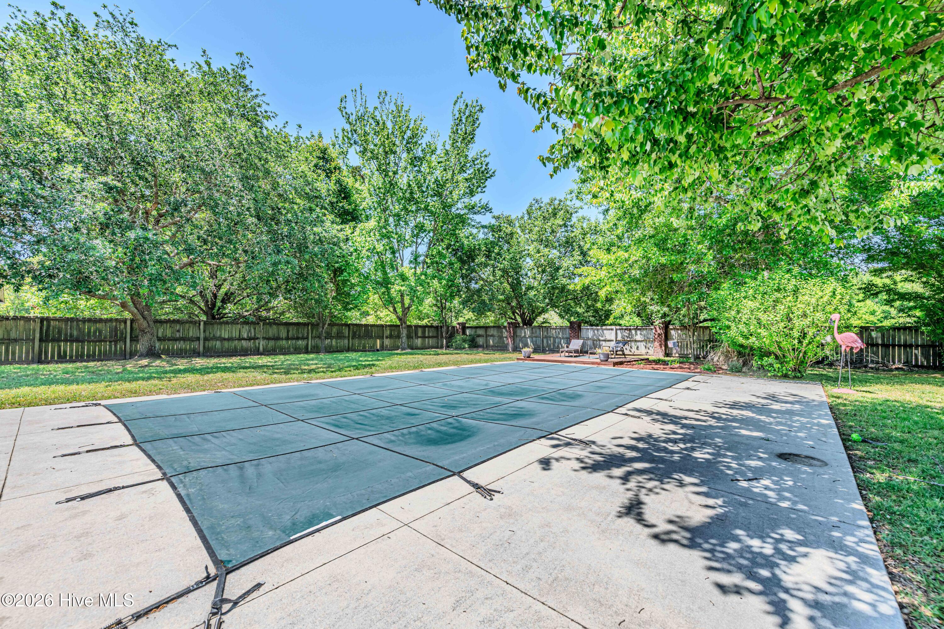 100569182 | Photo 59