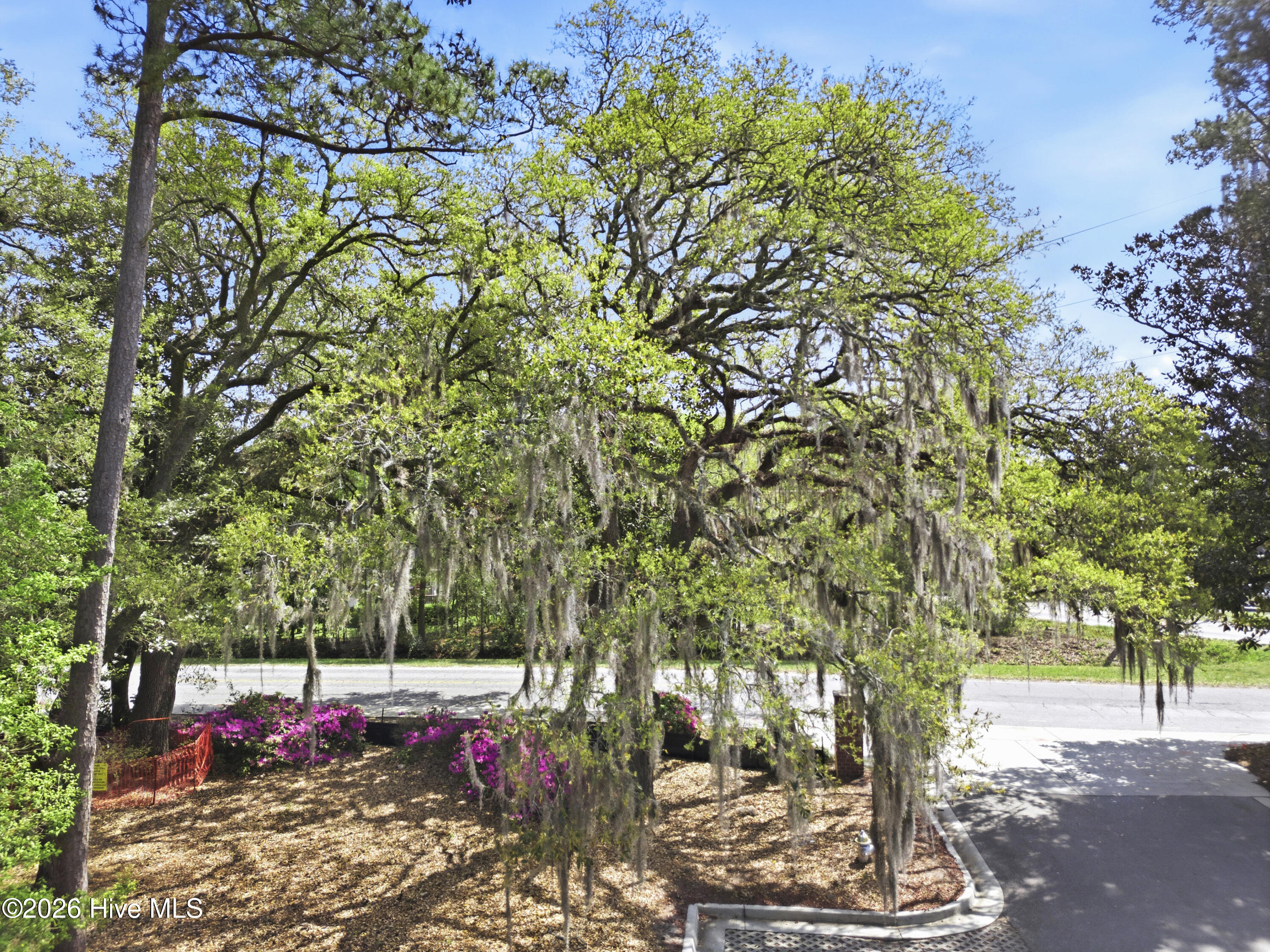 100564491 | Photo 32