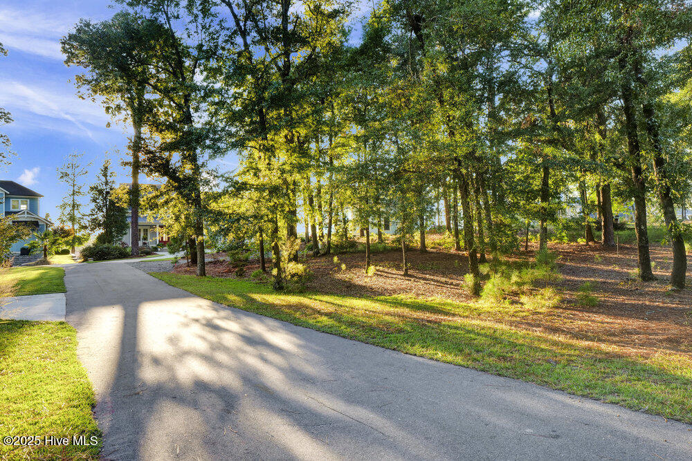 100537011 | Photo 81