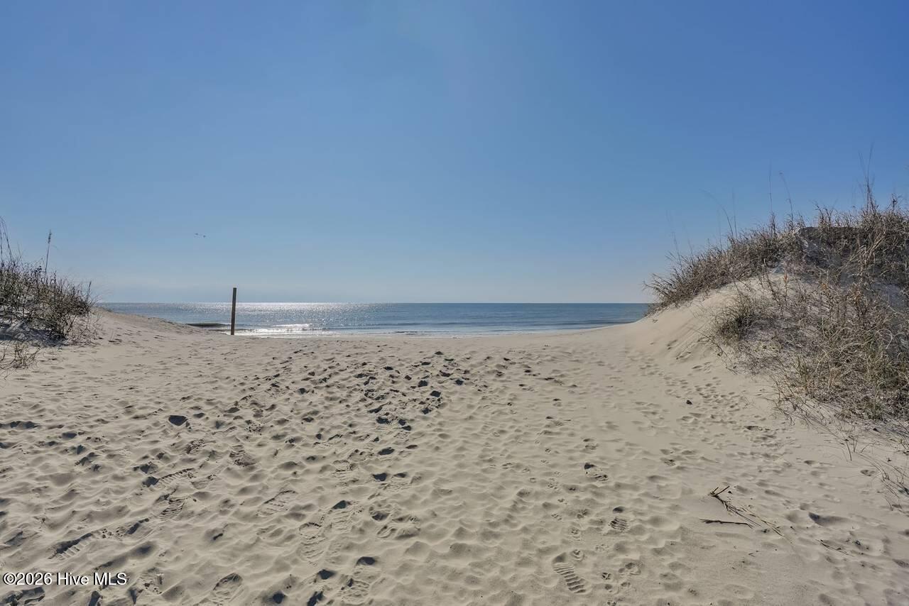 100567781 | Photo 10