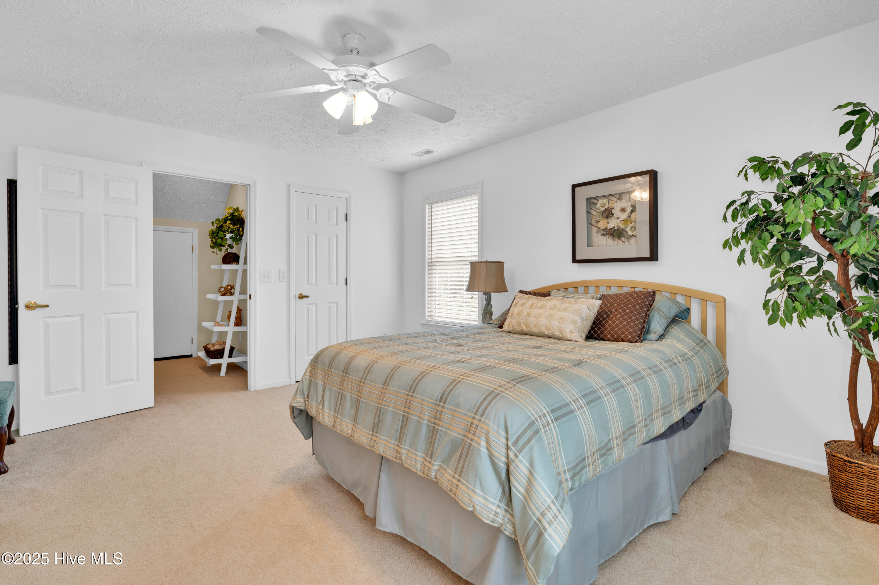 100530554 | Photo 35