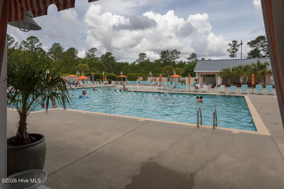 100564727 | Photo 32