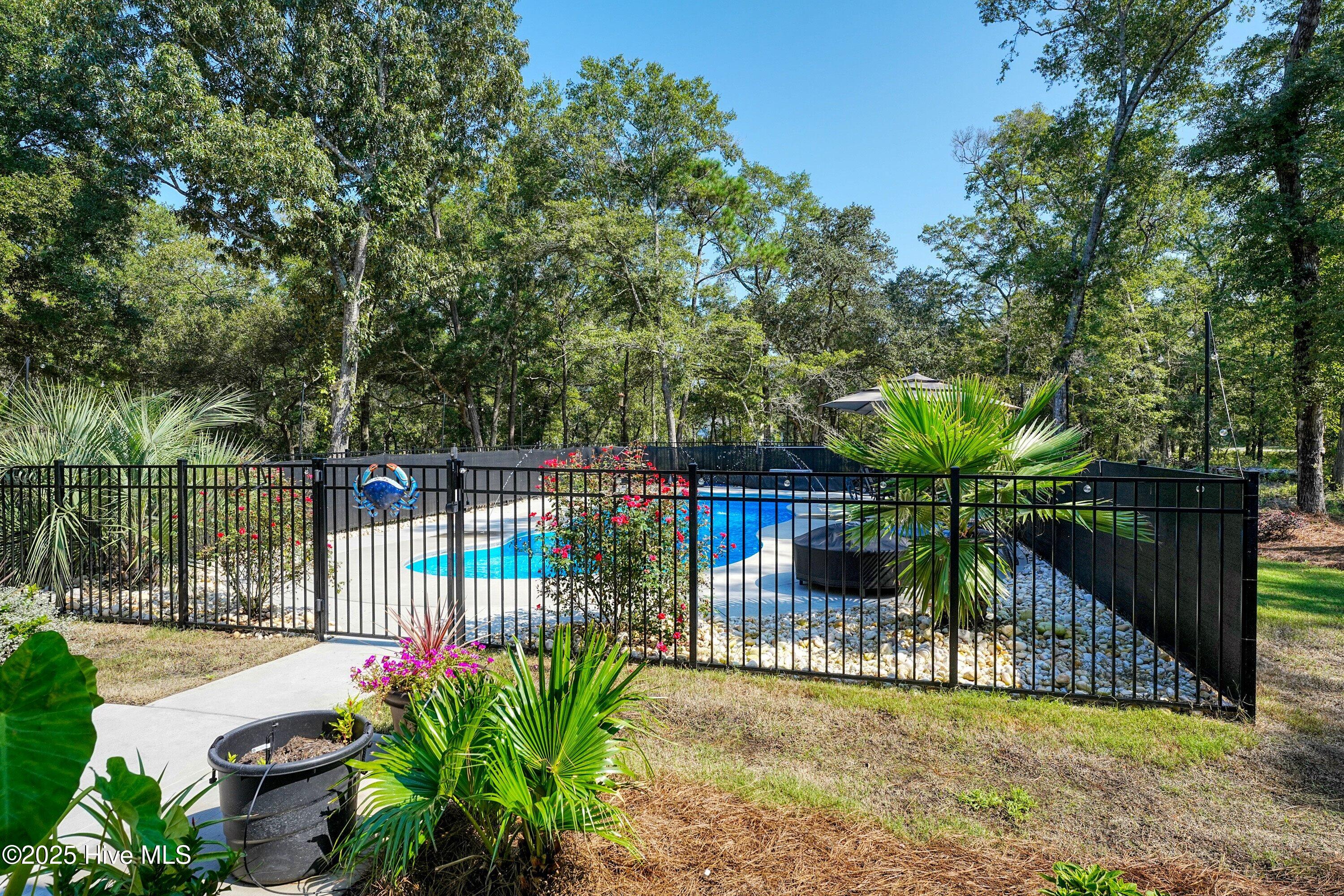 100526199 | Photo 32