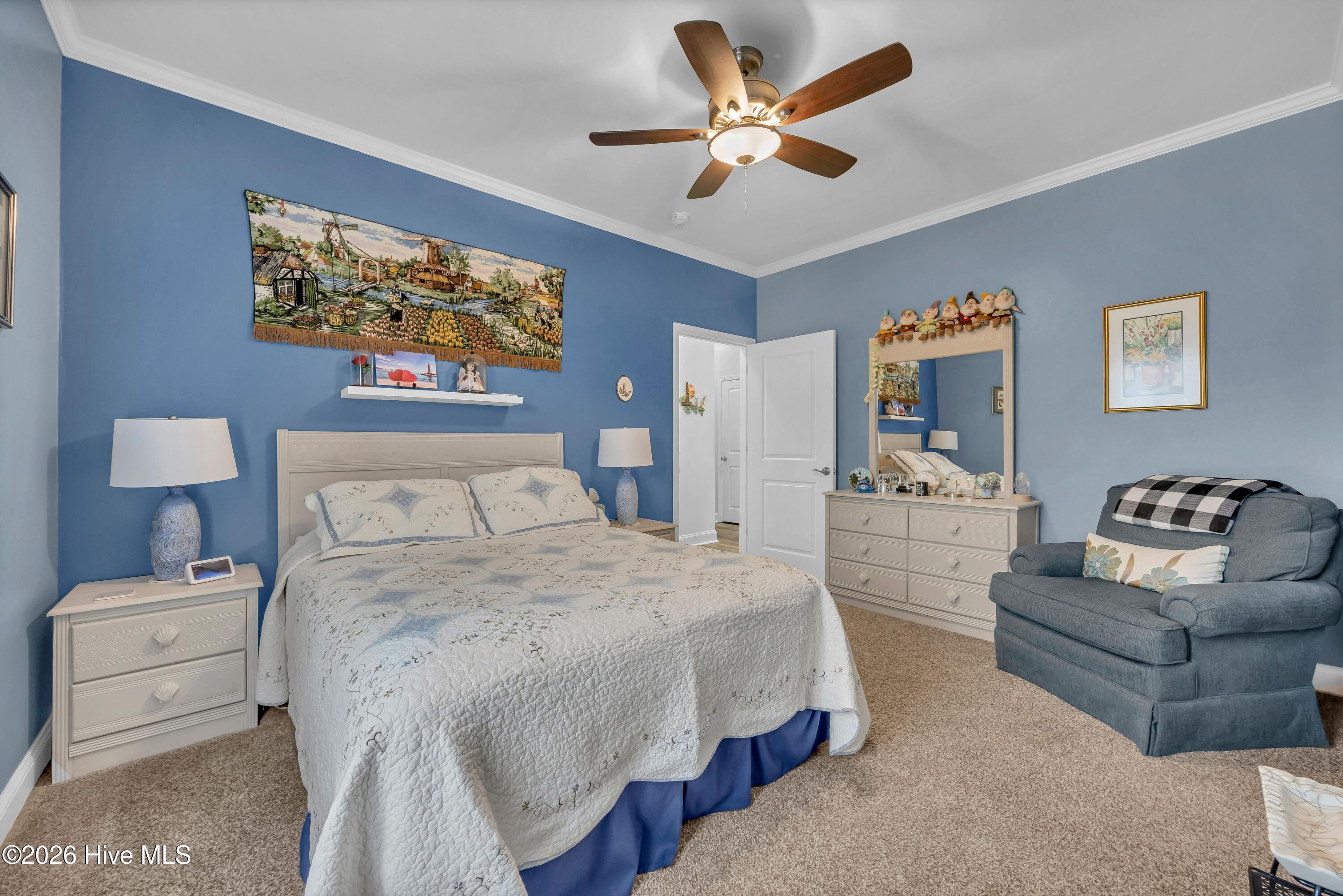 100562061 | Photo 19