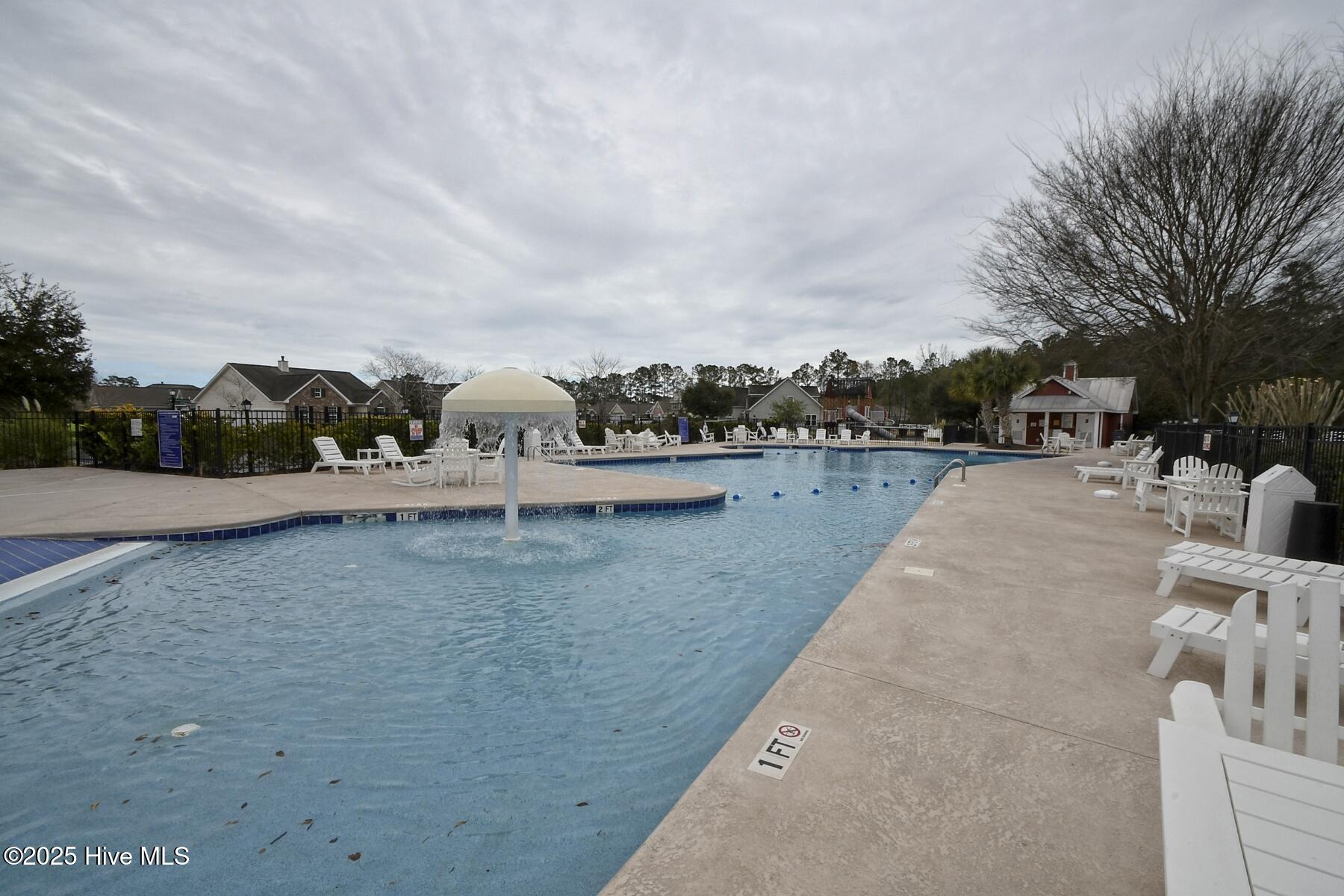 100542570 | Photo 65