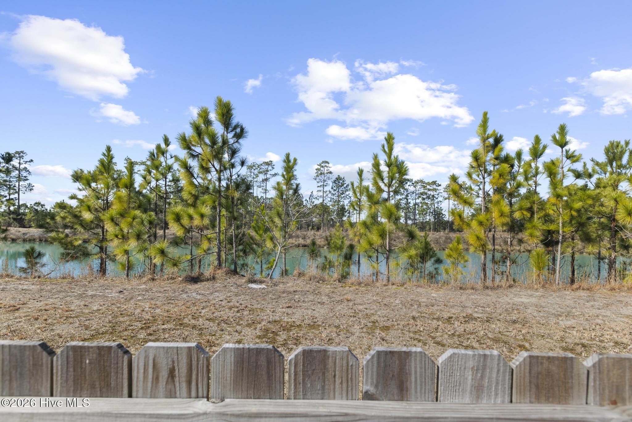 100557095 | Photo 41