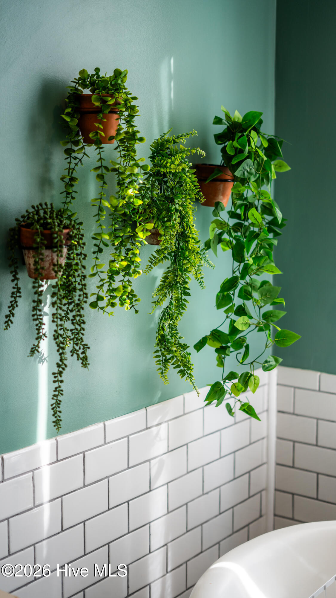 100559756 | Photo 22