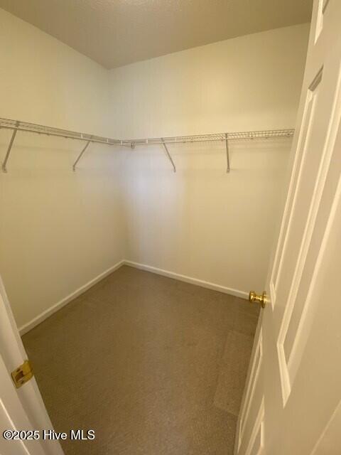 100529503 | Photo 16