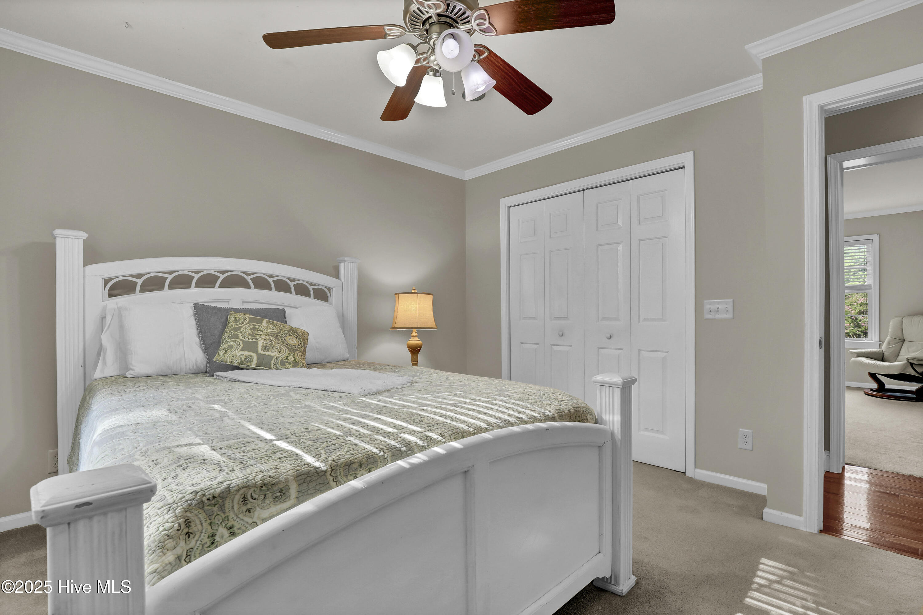 100525389 | Photo 19