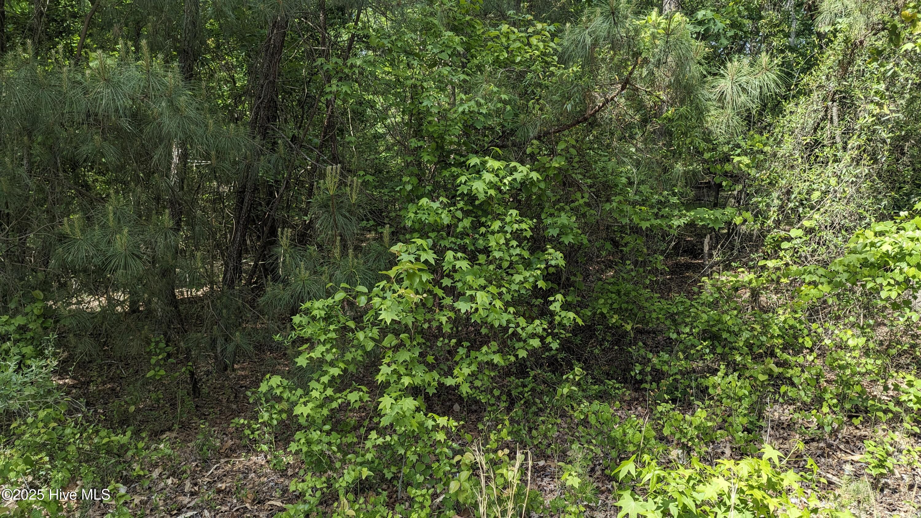 PXL_20240427_193008148