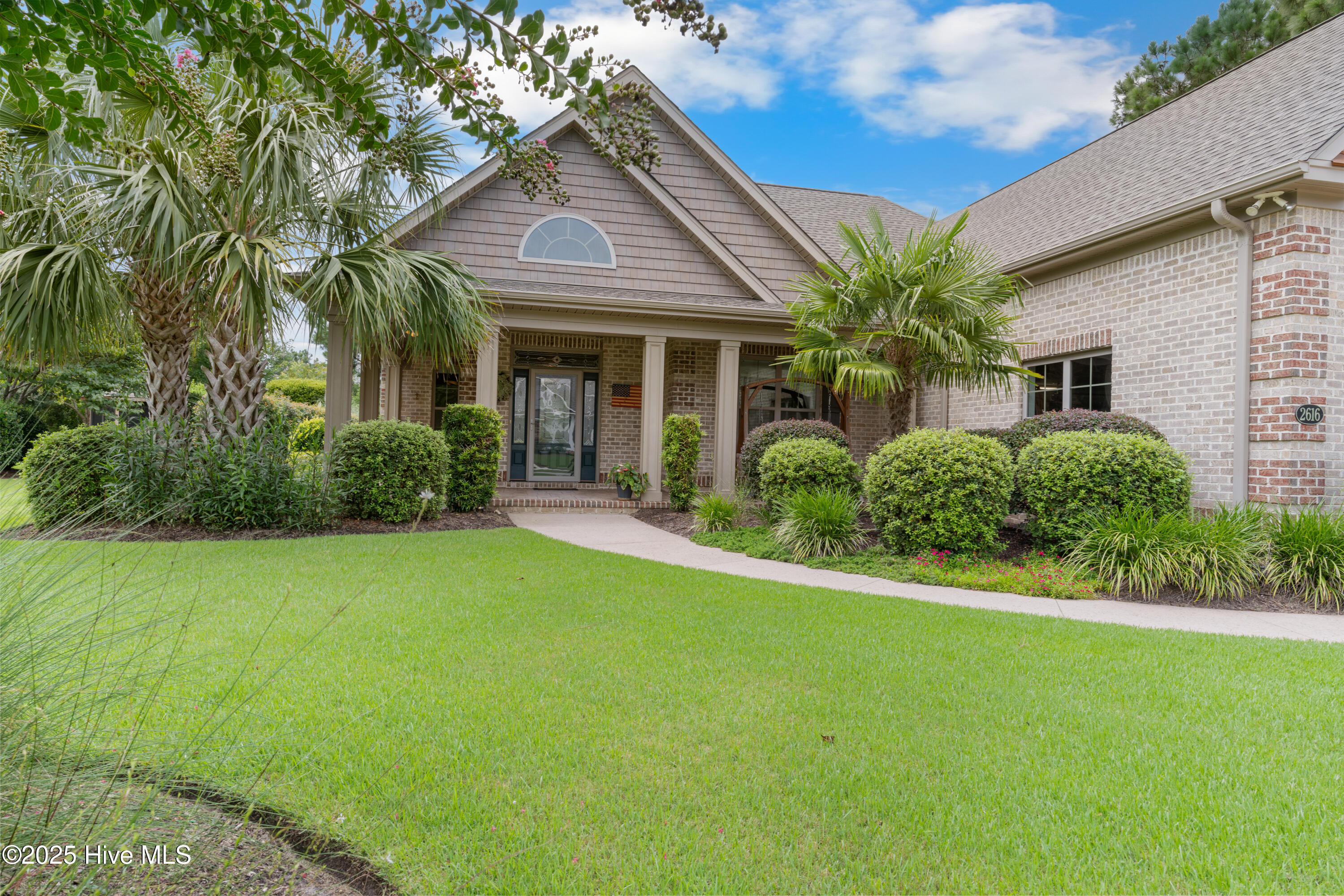 100525197 | Photo 12