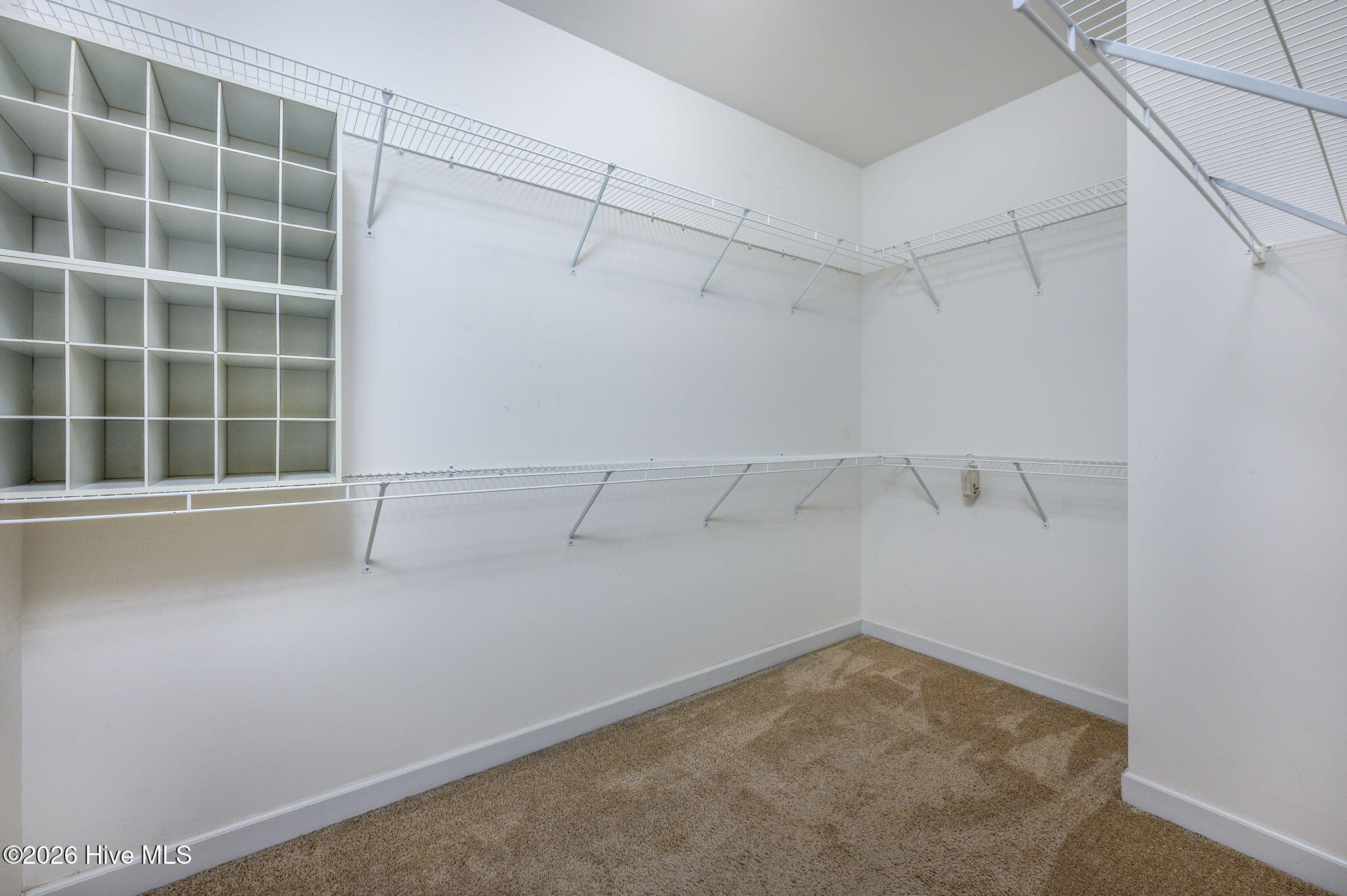 100559245 | Photo 14