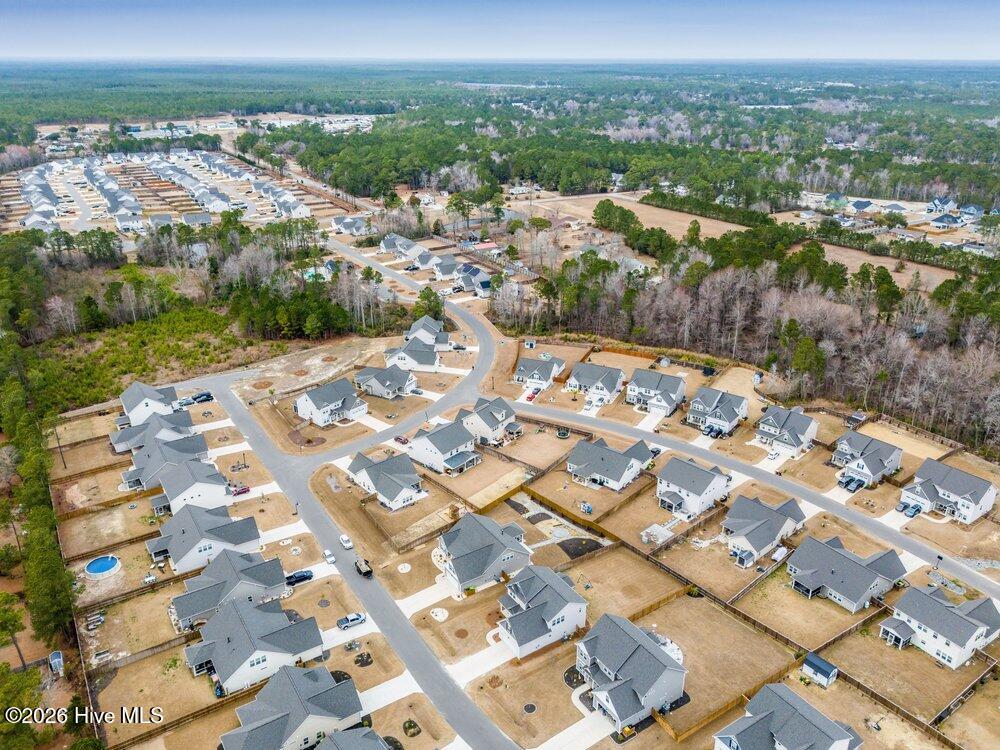 100558319 | Photo 42