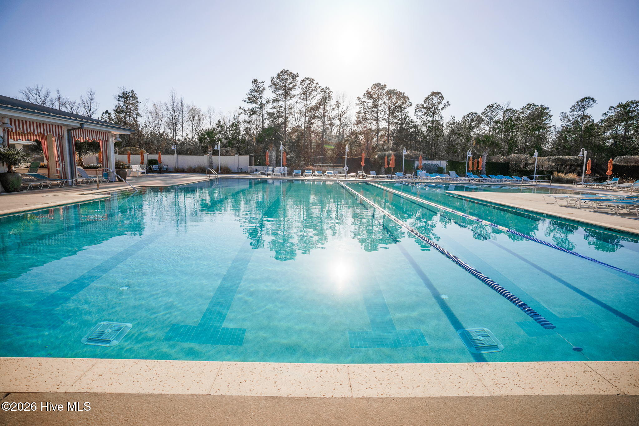 100559024 | Photo 40