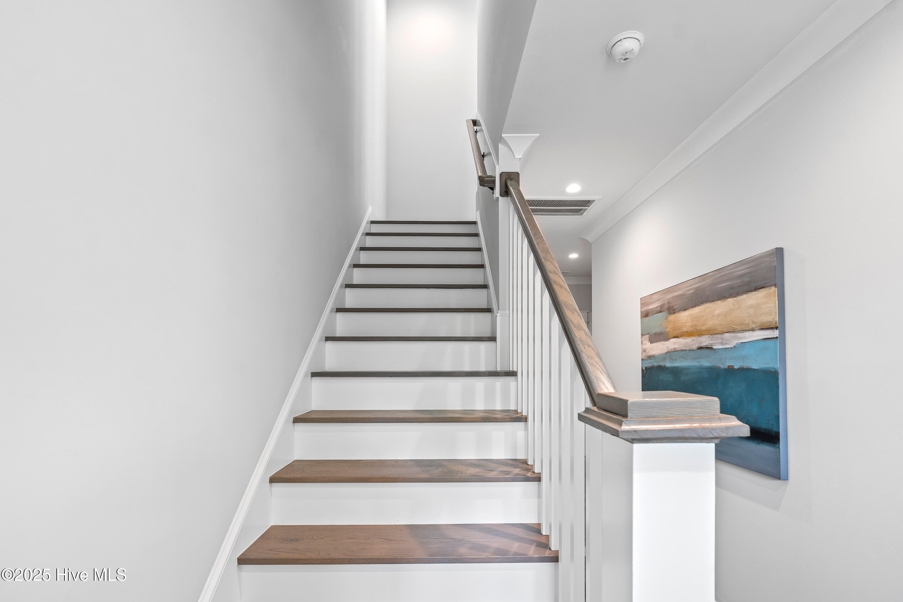 100516528 | Photo 13