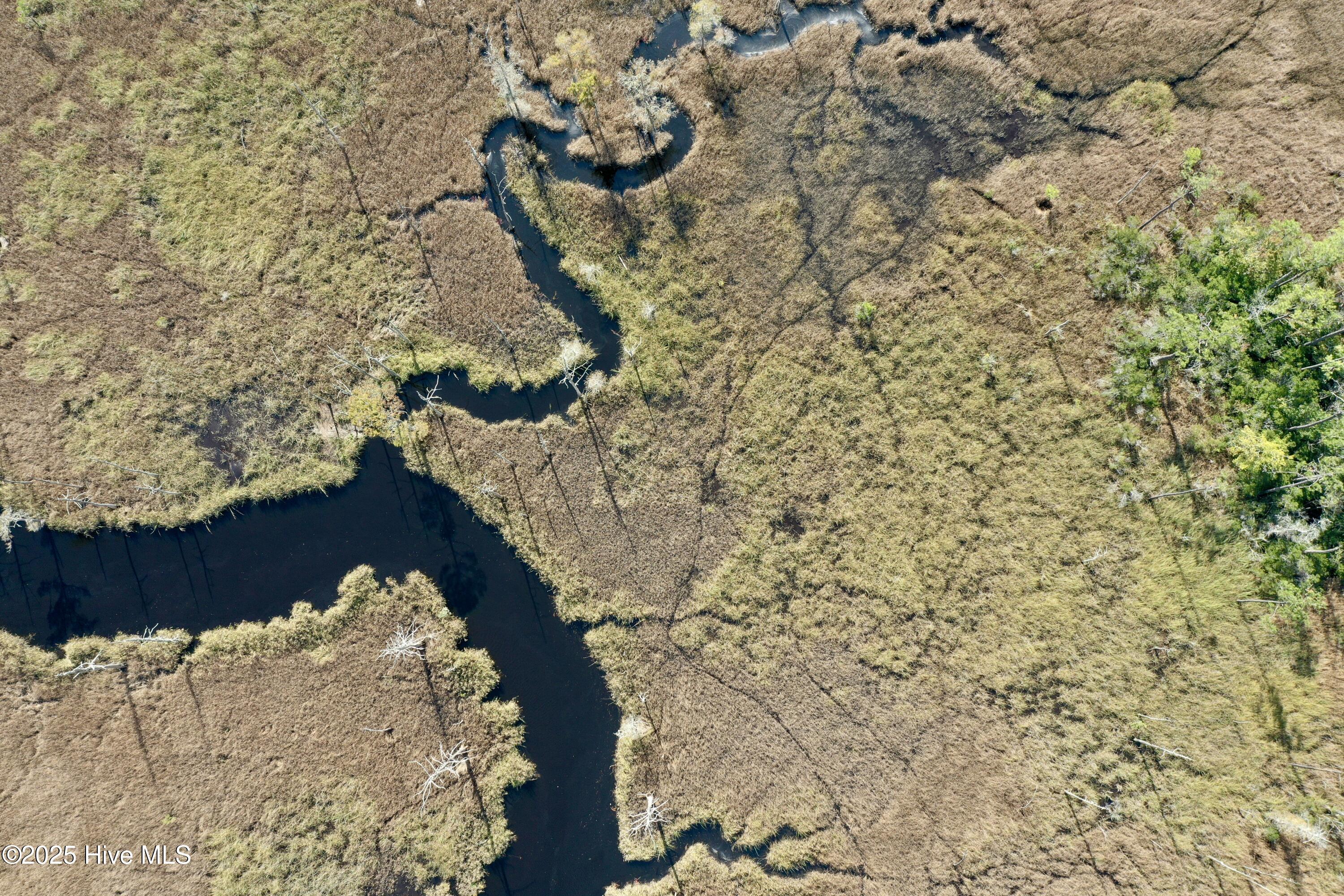 100535881 | Photo 22