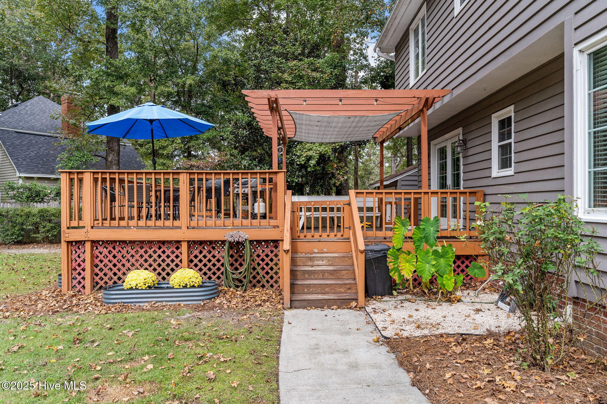 100534535 | Photo 37