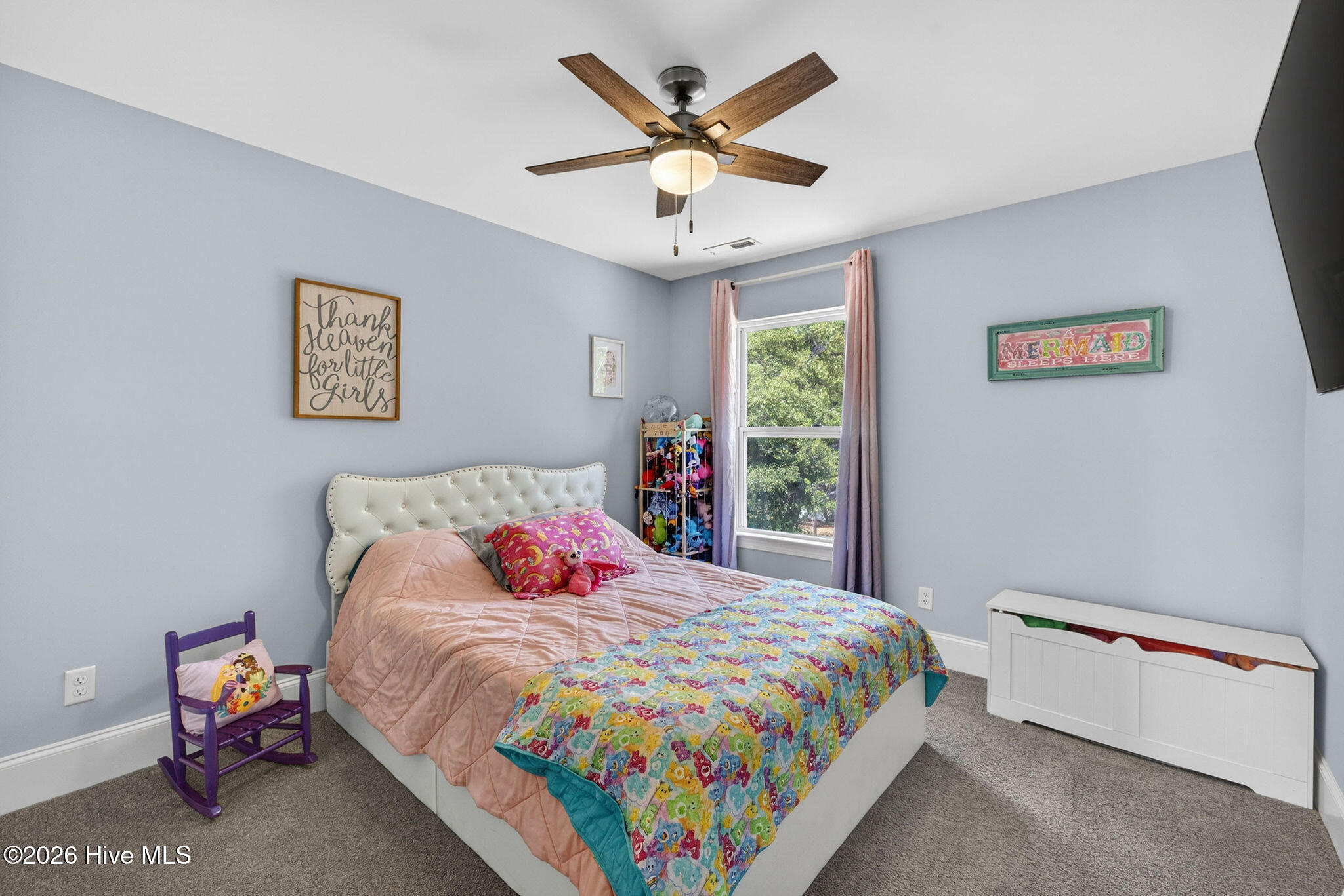 100570587 | Photo 25