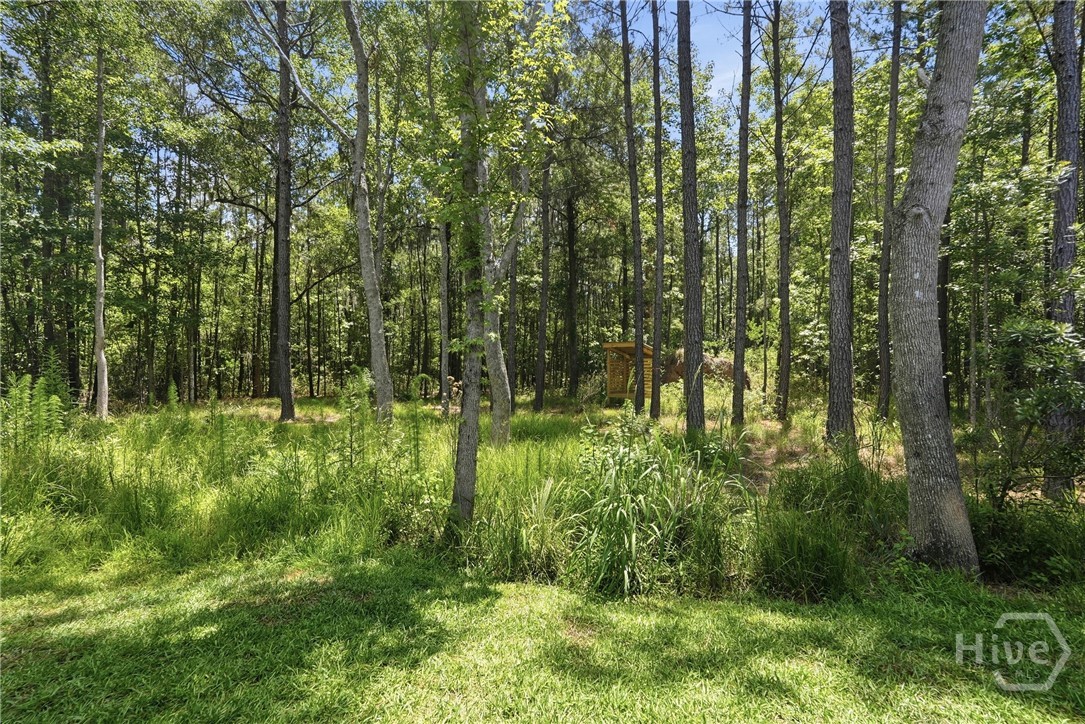19 Serenity Point, Savannah, GA 31419 Listing Photo  46