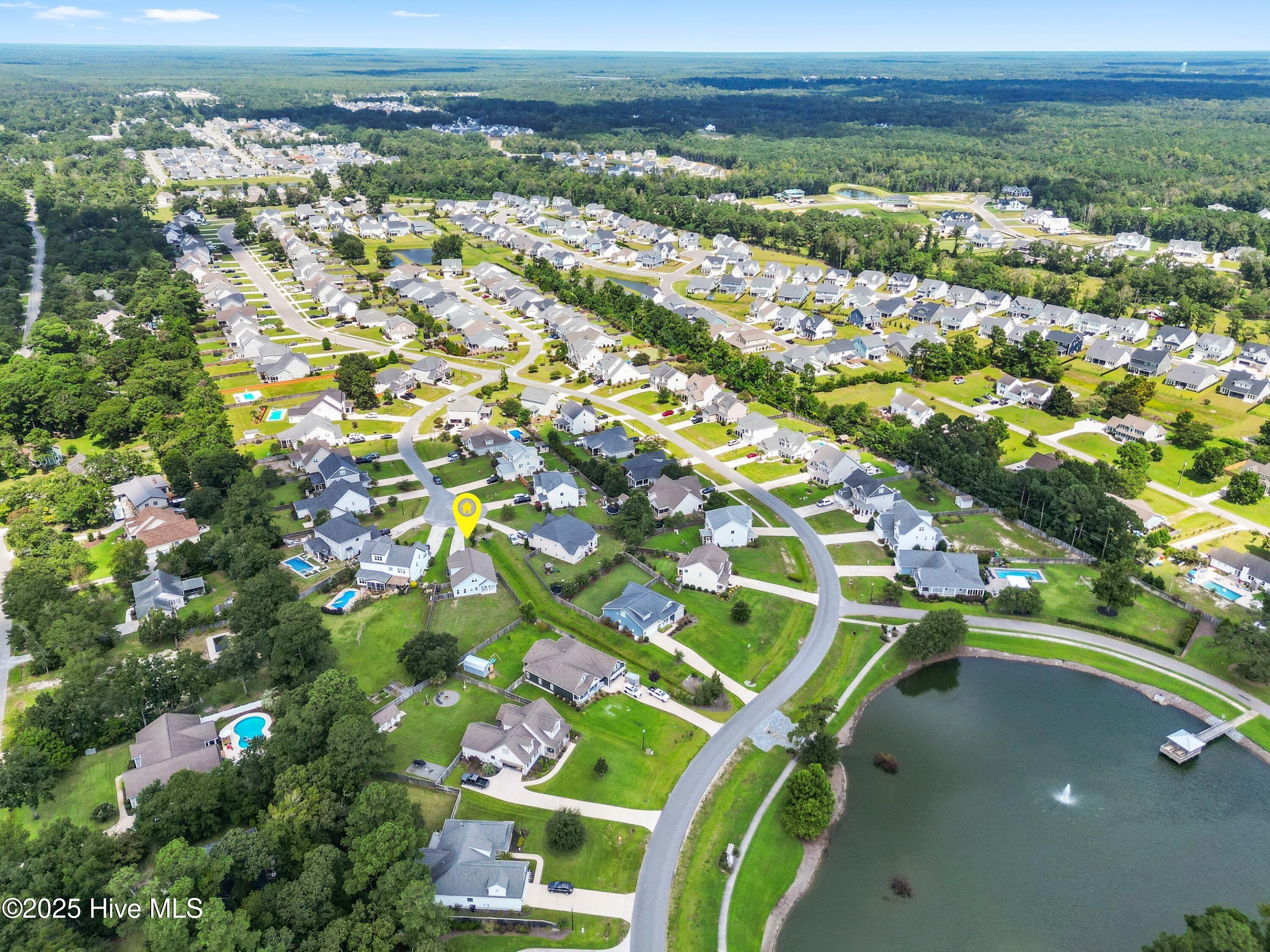 100527219 | Photo 65