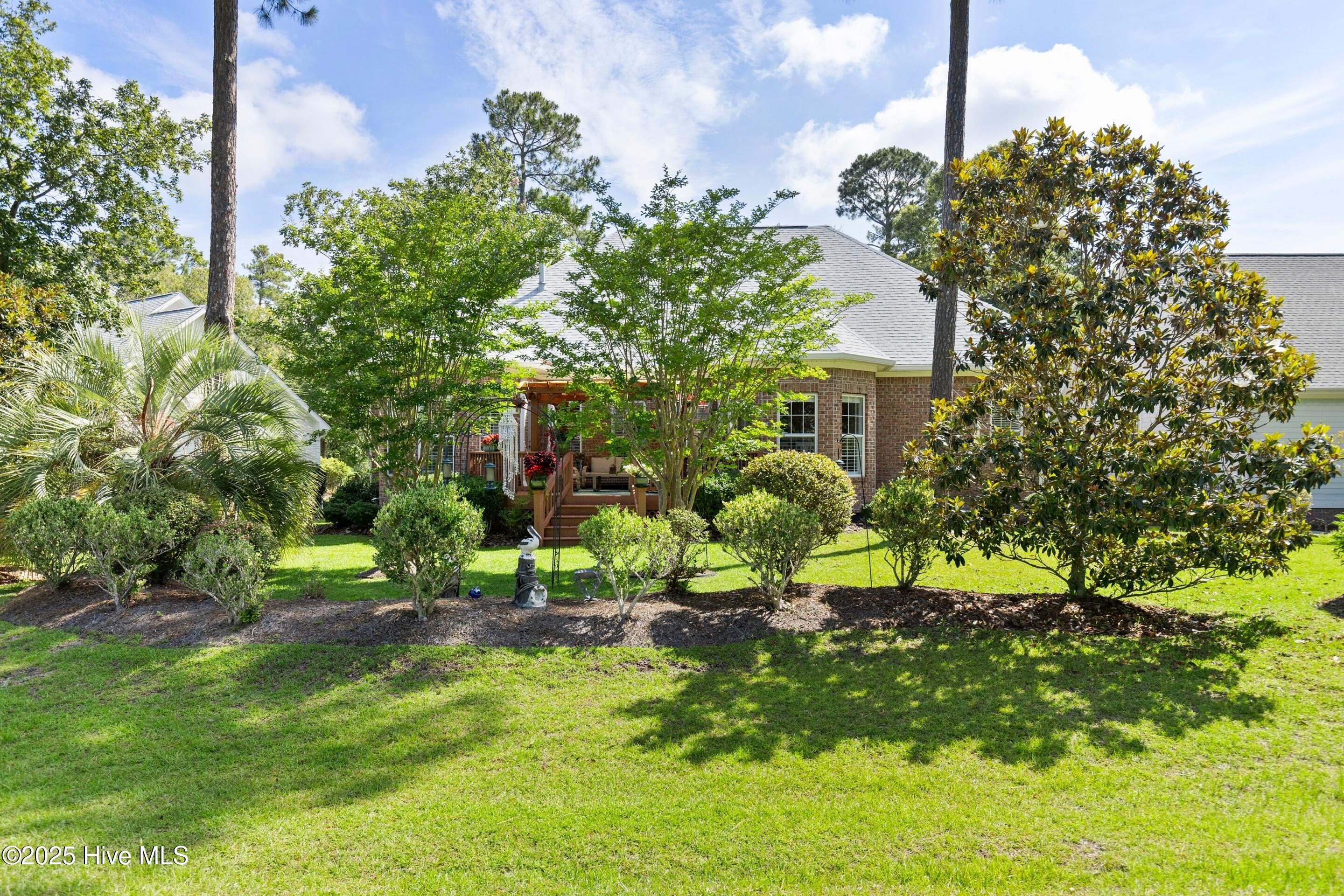 100536475 | Photo 54