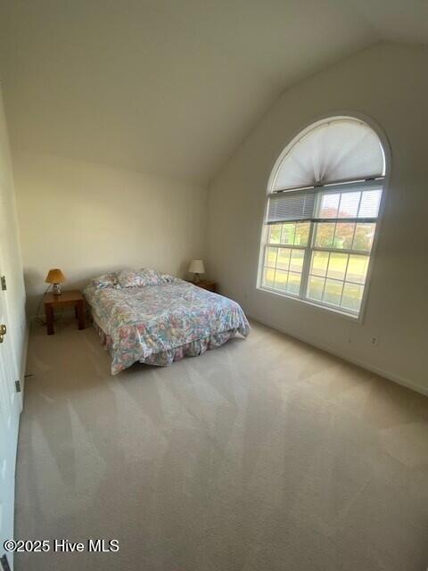 100532170 | Photo 32