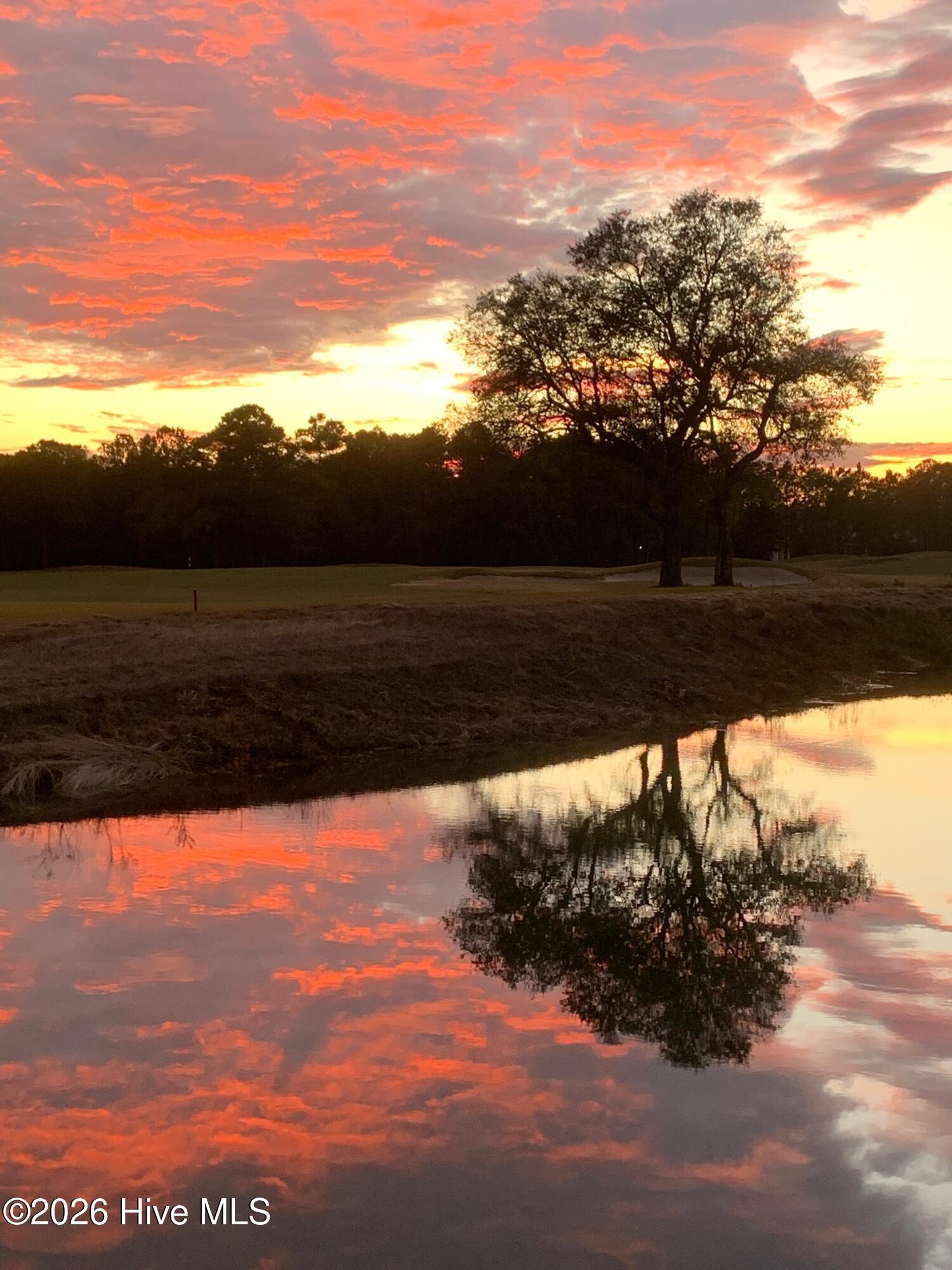 100561180 | Photo 127