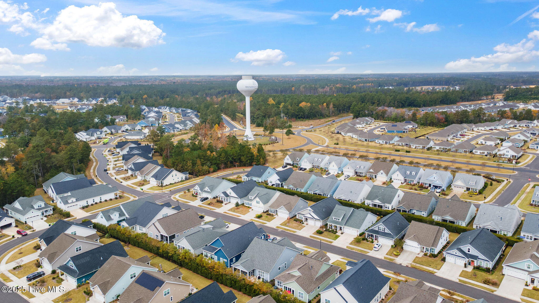 100541268 | Photo 50