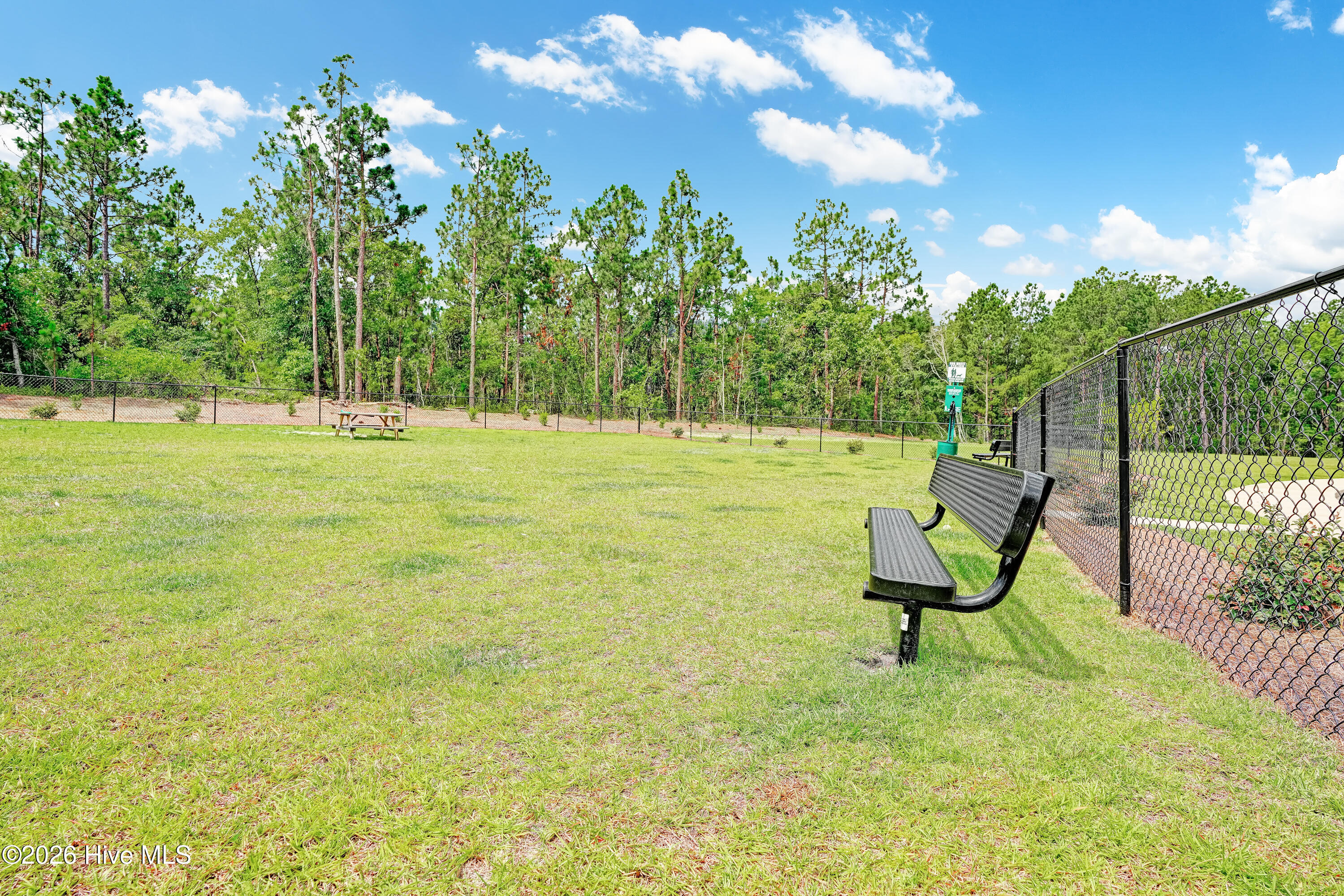 100549305 | Photo 61