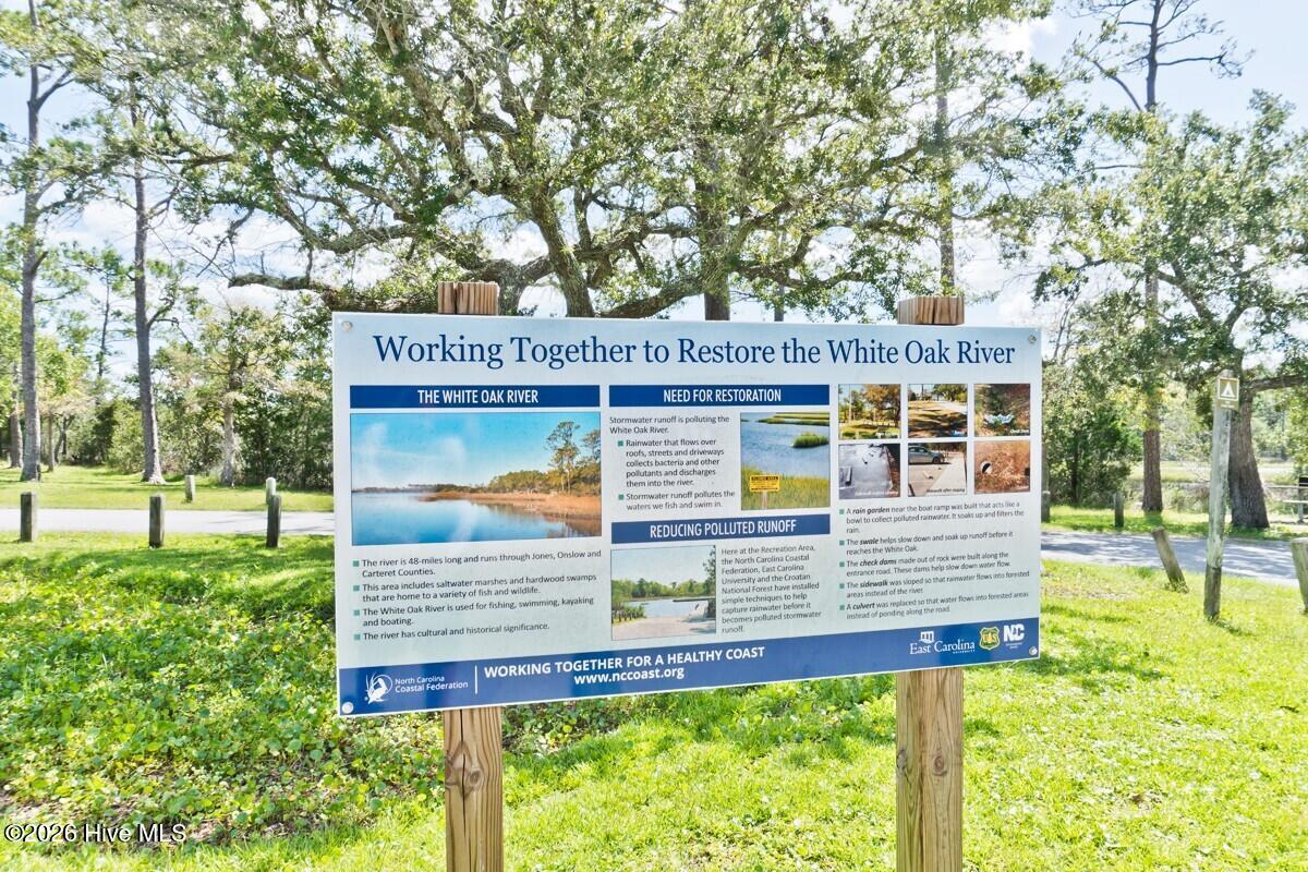 100562349 | Photo 40