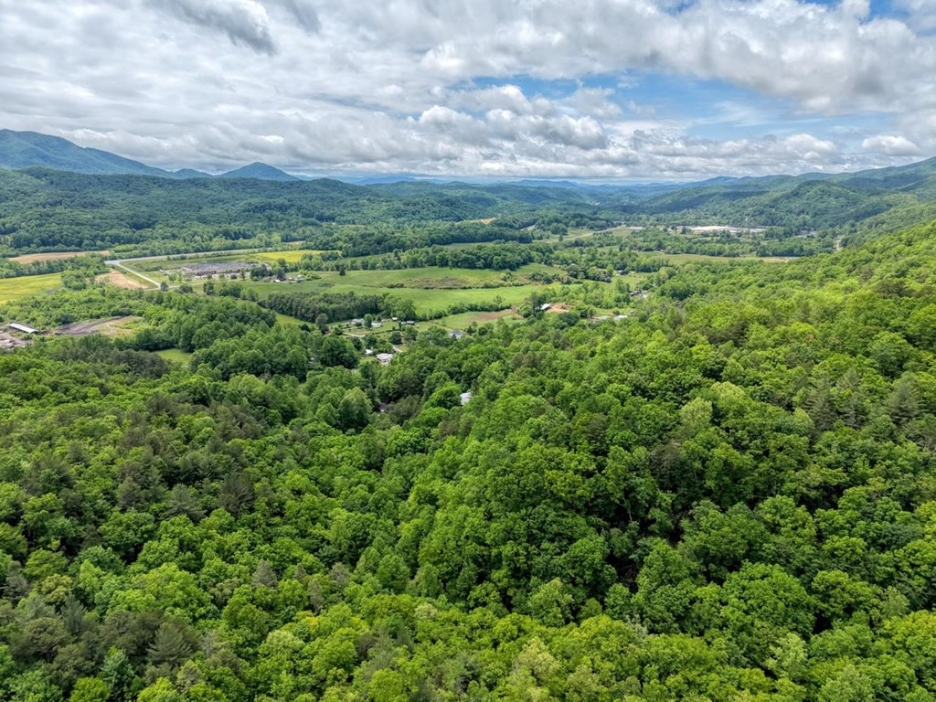 477 Little Snowbird Trail, Marble, NC 28905 Listing Photo  46