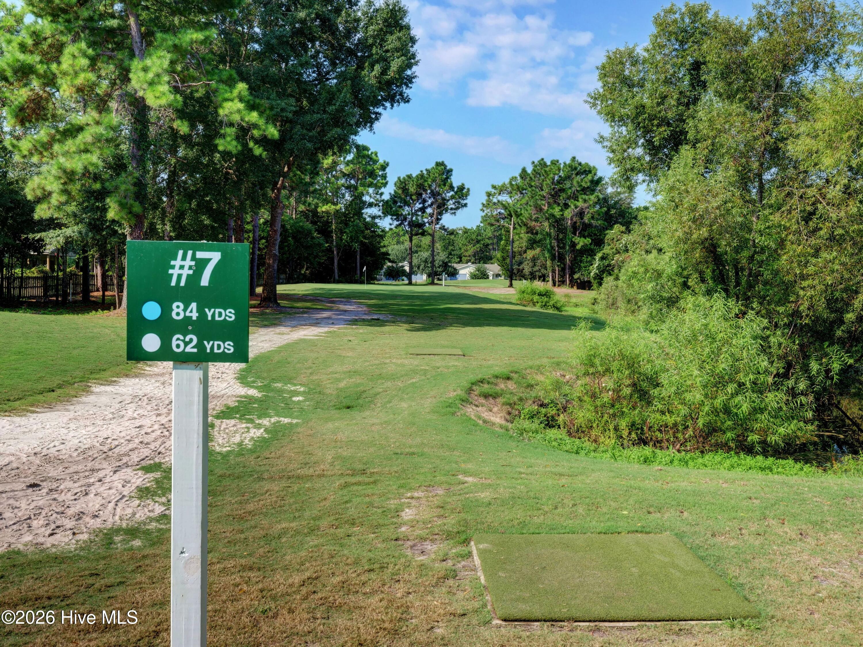 100562234 | Photo 36